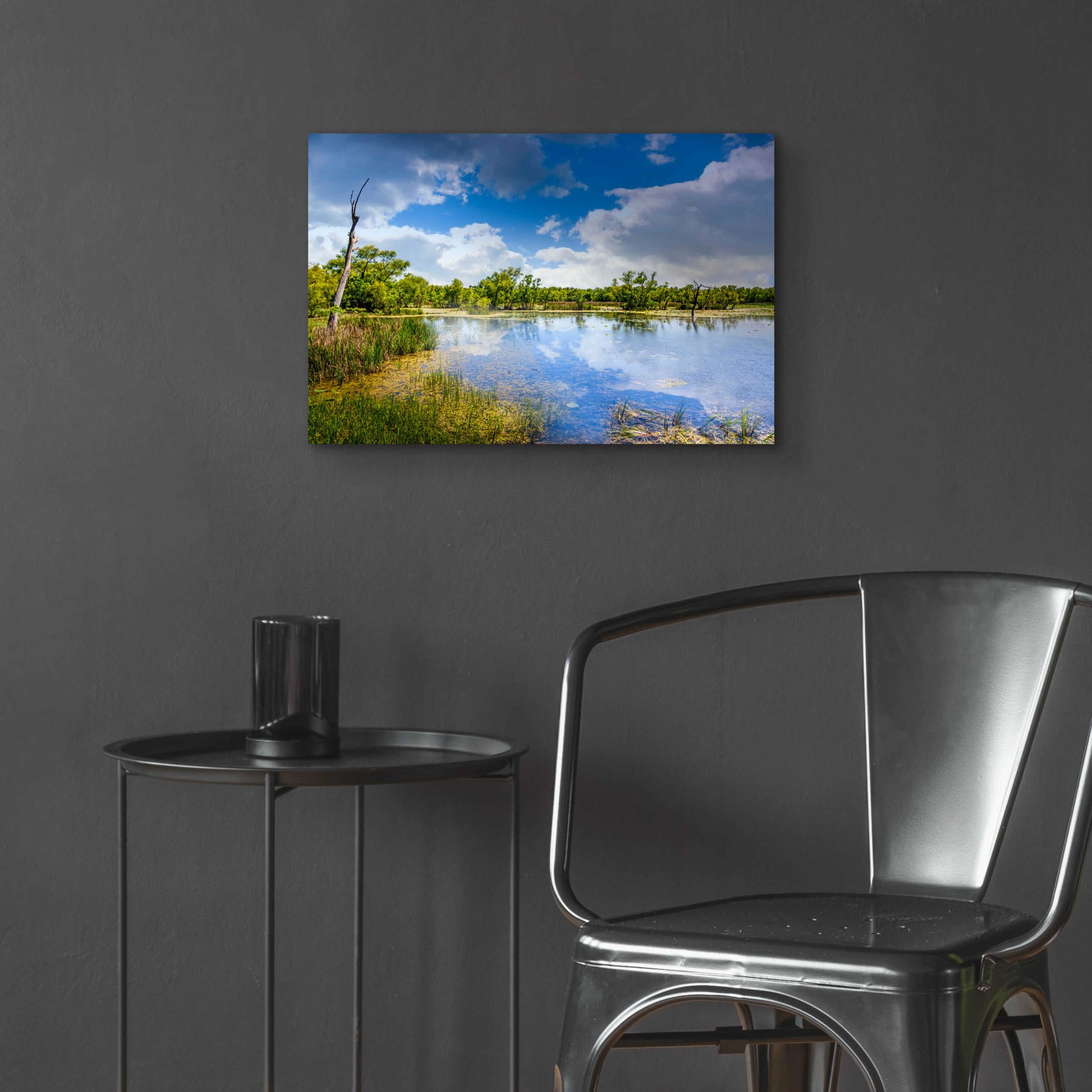 Epic Art 'Brazos Bend Sunny Afternoon' by Grace Fine Arts Photography, Acrylic Glass Wall Art,24x16