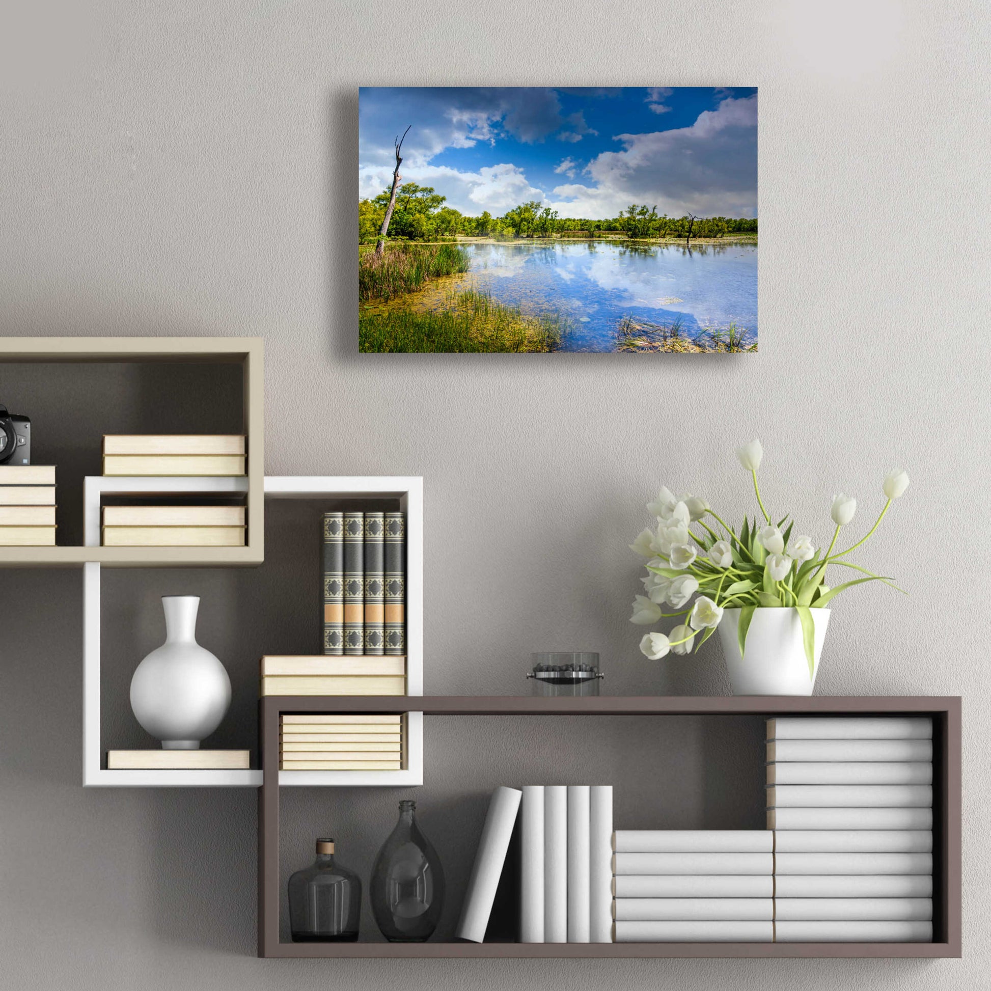 Epic Art 'Brazos Bend Sunny Afternoon' by Grace Fine Arts Photography, Acrylic Glass Wall Art,24x16