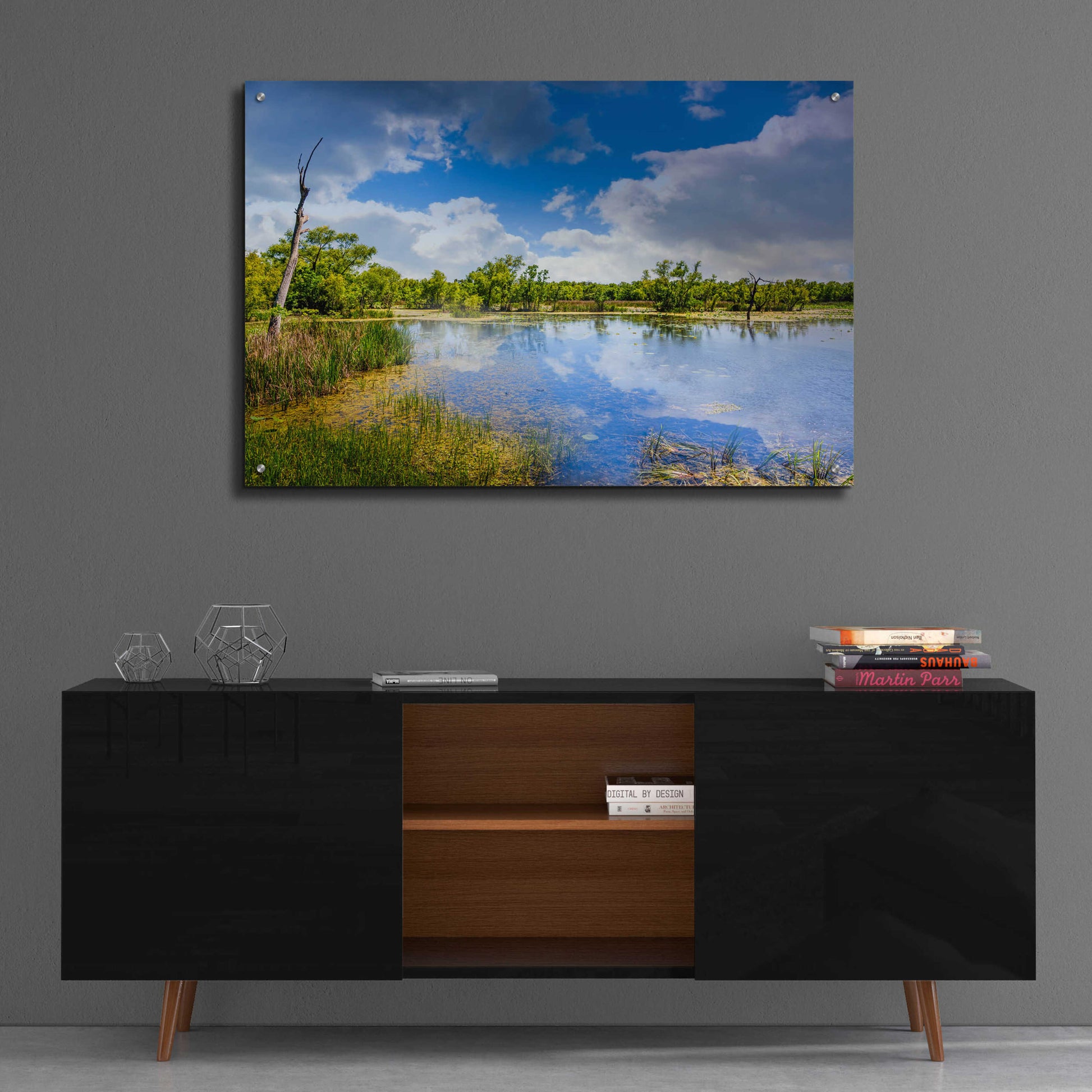 Epic Art 'Brazos Bend Sunny Afternoon' by Grace Fine Arts Photography, Acrylic Glass Wall Art,36x24