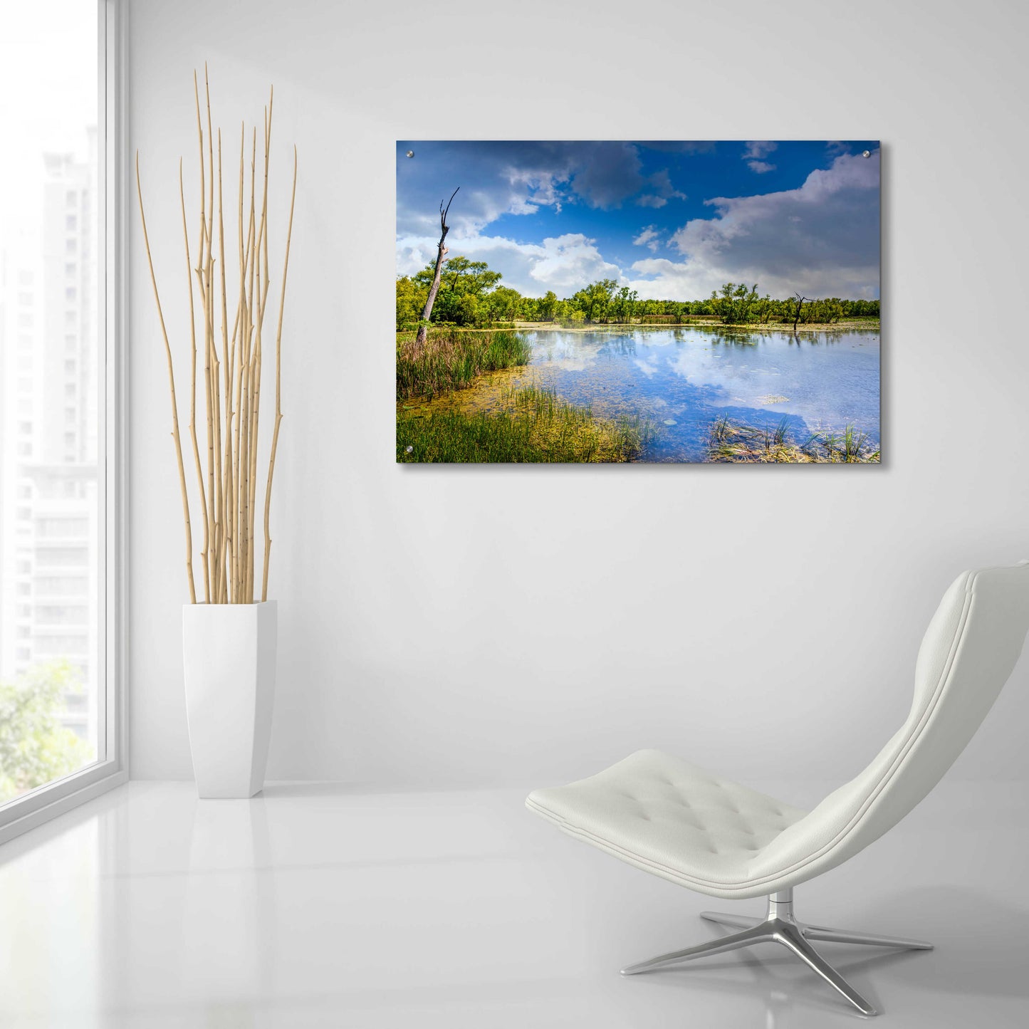 Epic Art 'Brazos Bend Sunny Afternoon' by Grace Fine Arts Photography, Acrylic Glass Wall Art,36x24