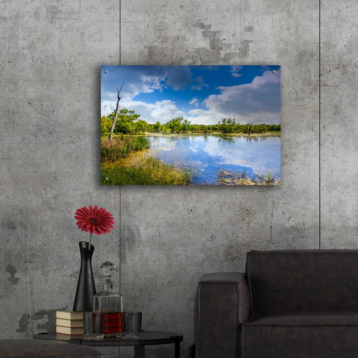 Epic Art 'Brazos Bend Sunny Afternoon' by Grace Fine Arts Photography, Acrylic Glass Wall Art,36x24