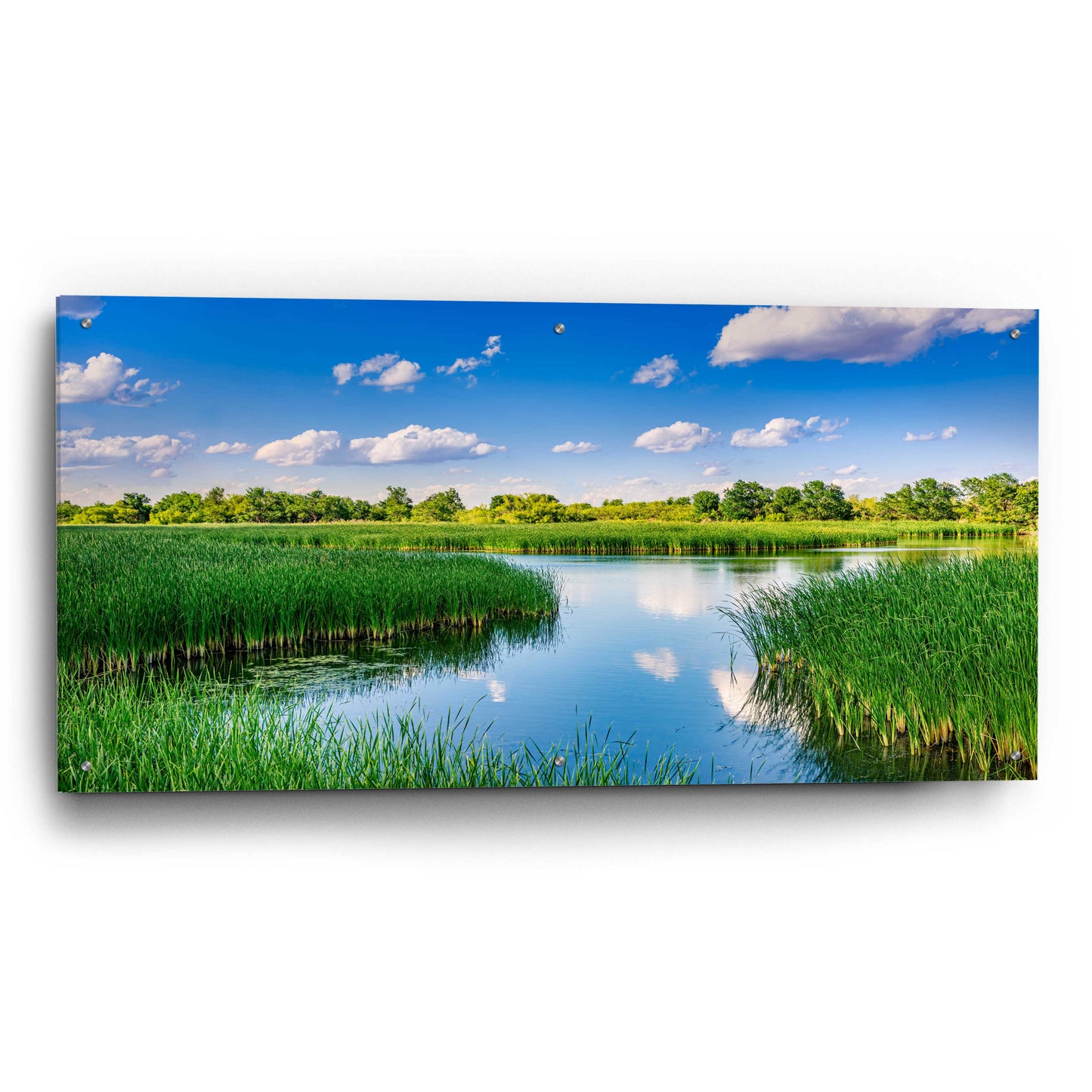 Epic Art 'Midland Reflections 1' by Grace Fine Arts Photography, Acrylic Glass Wall Art,48x24