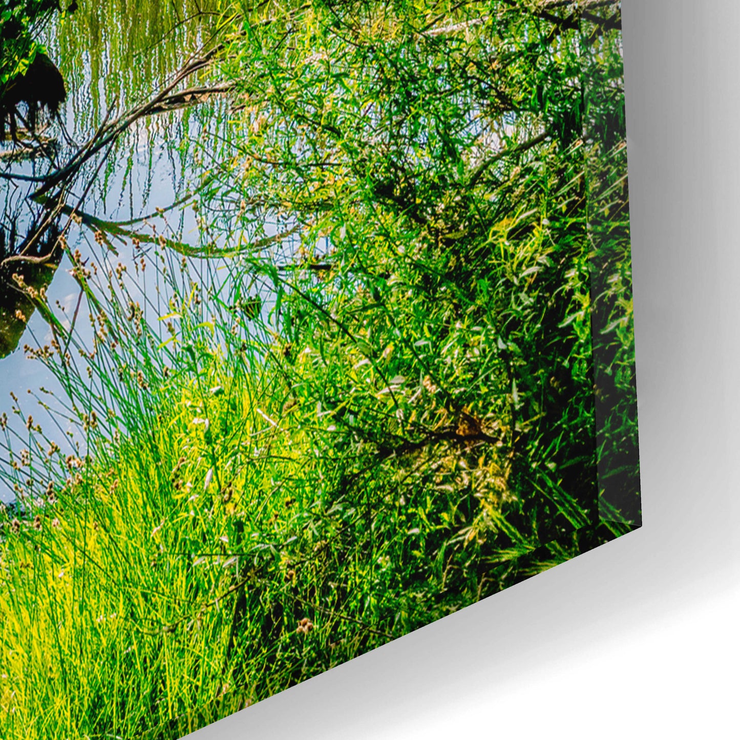 Epic Art 'Midland Reflections 2' by Grace Fine Arts Photography, Acrylic Glass Wall Art,16x12