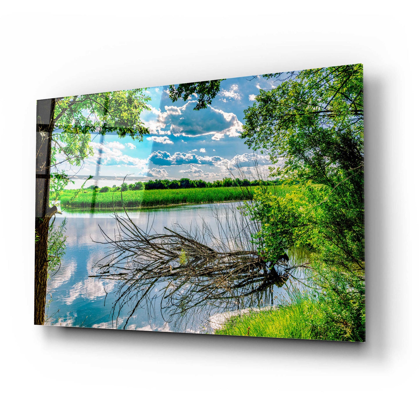 Epic Art 'Midland Reflections 2' by Grace Fine Arts Photography, Acrylic Glass Wall Art,24x16