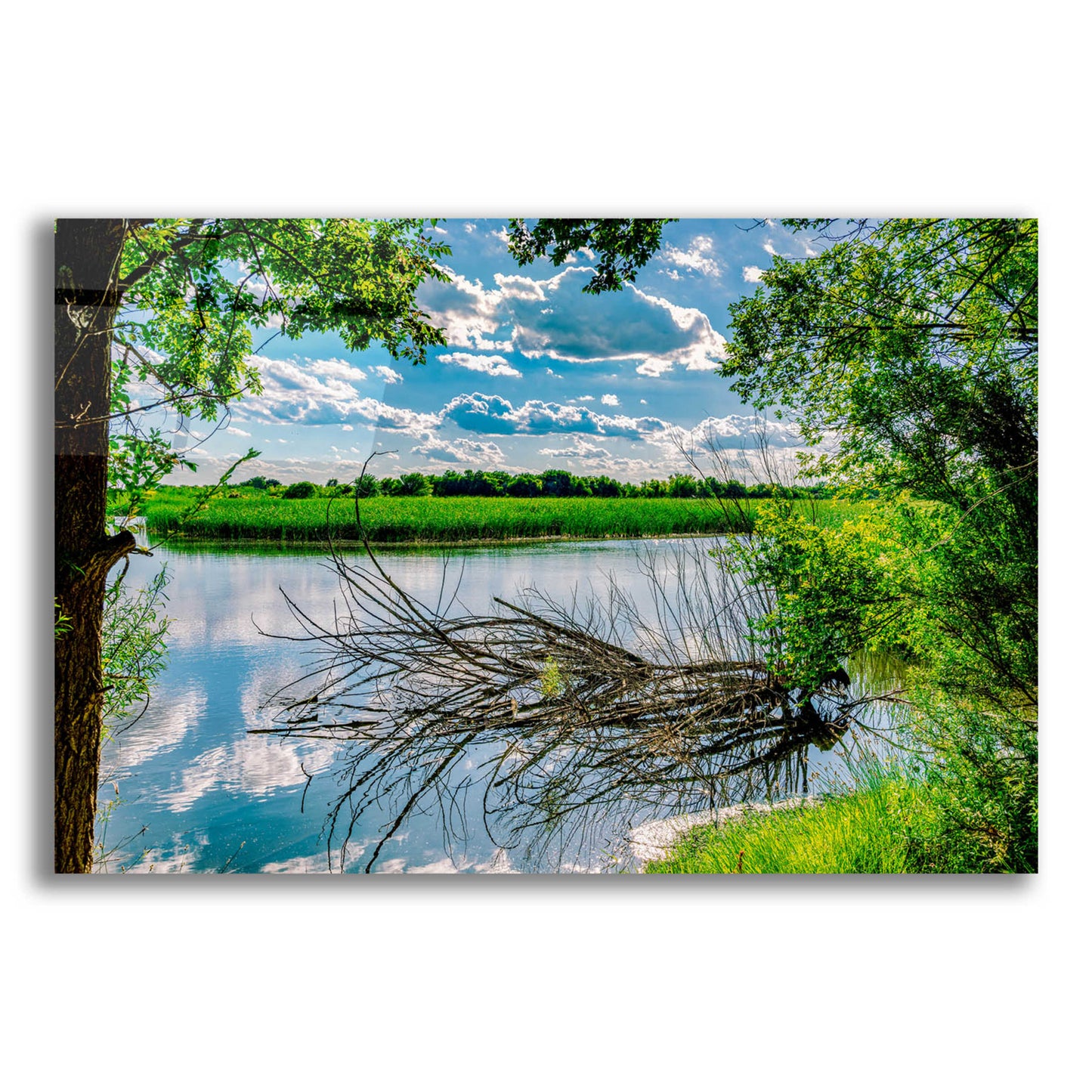 Epic Art 'Midland Reflections 2' by Grace Fine Arts Photography, Acrylic Glass Wall Art,24x16