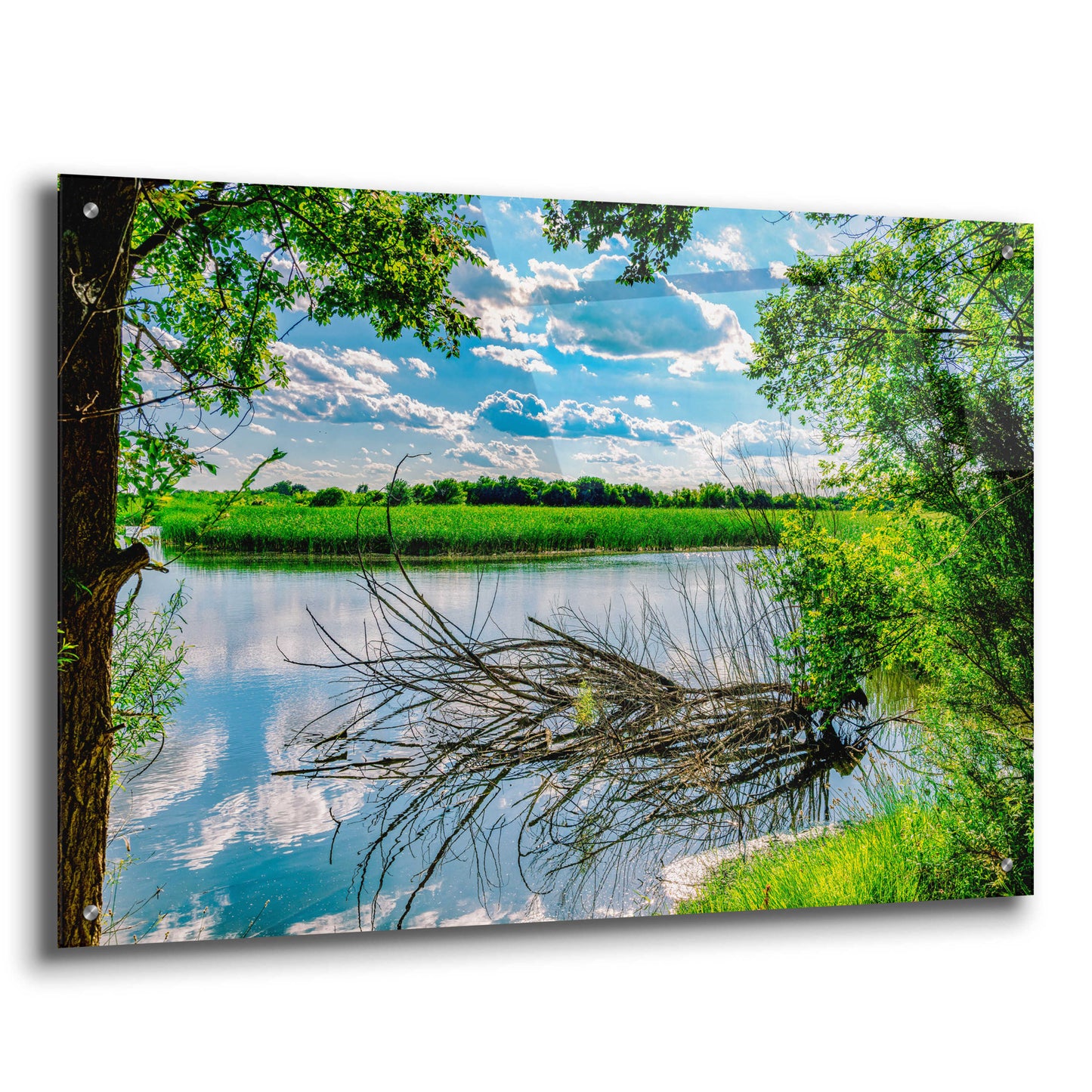 Epic Art 'Midland Reflections 2' by Grace Fine Arts Photography, Acrylic Glass Wall Art,36x24