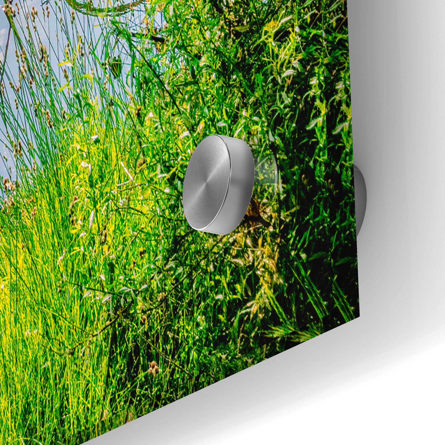 Epic Art 'Midland Reflections 2' by Grace Fine Arts Photography, Acrylic Glass Wall Art,36x24