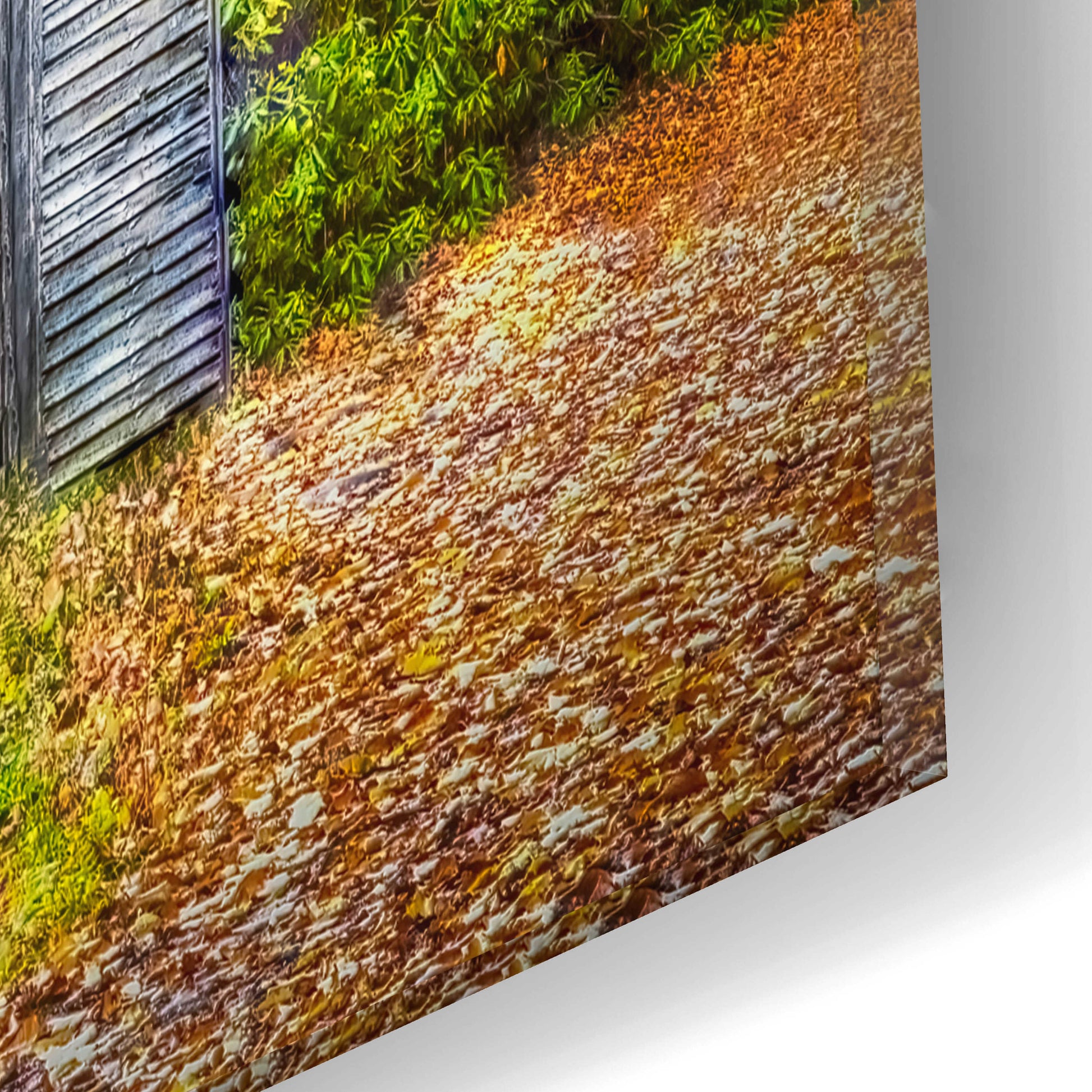 Epic Art 'Mill in Autumn' by Grace Fine Arts Photography, Acrylic Glass Wall Art,16x12