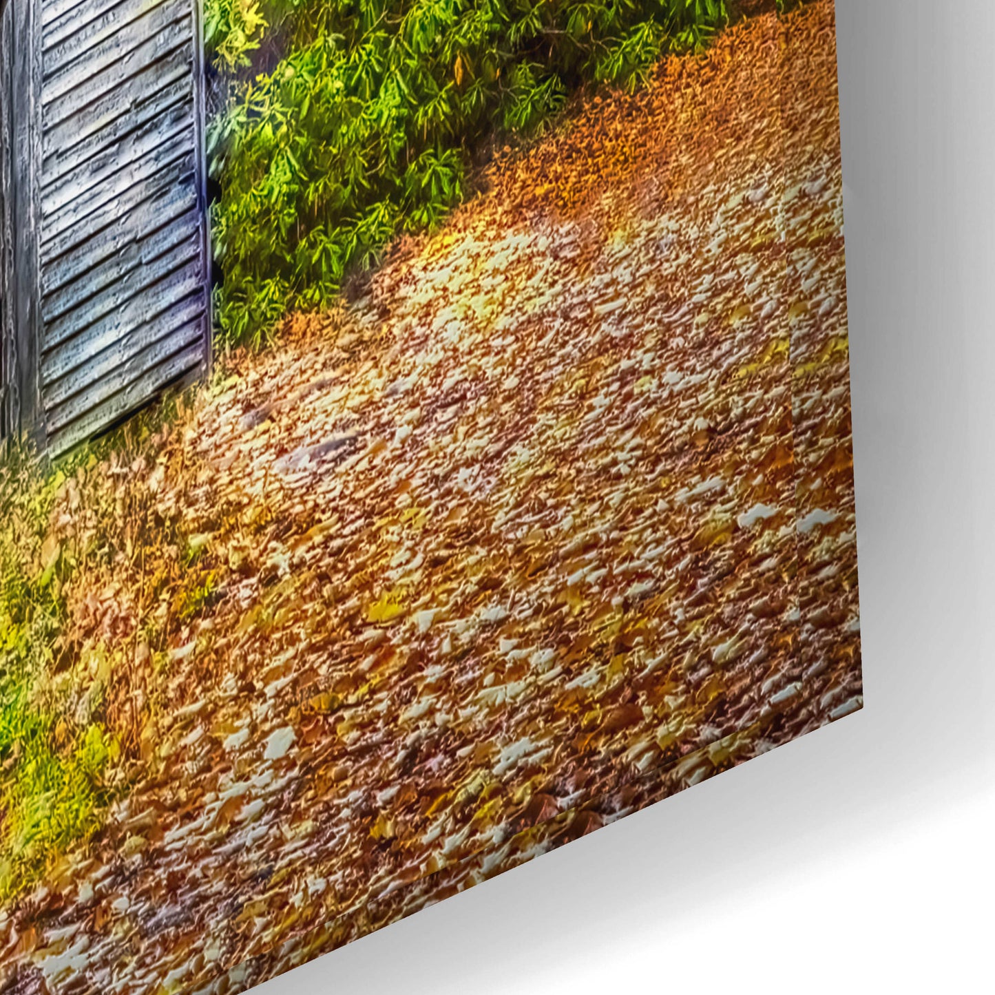 Epic Art 'Mill in Autumn' by Grace Fine Arts Photography, Acrylic Glass Wall Art,24x16