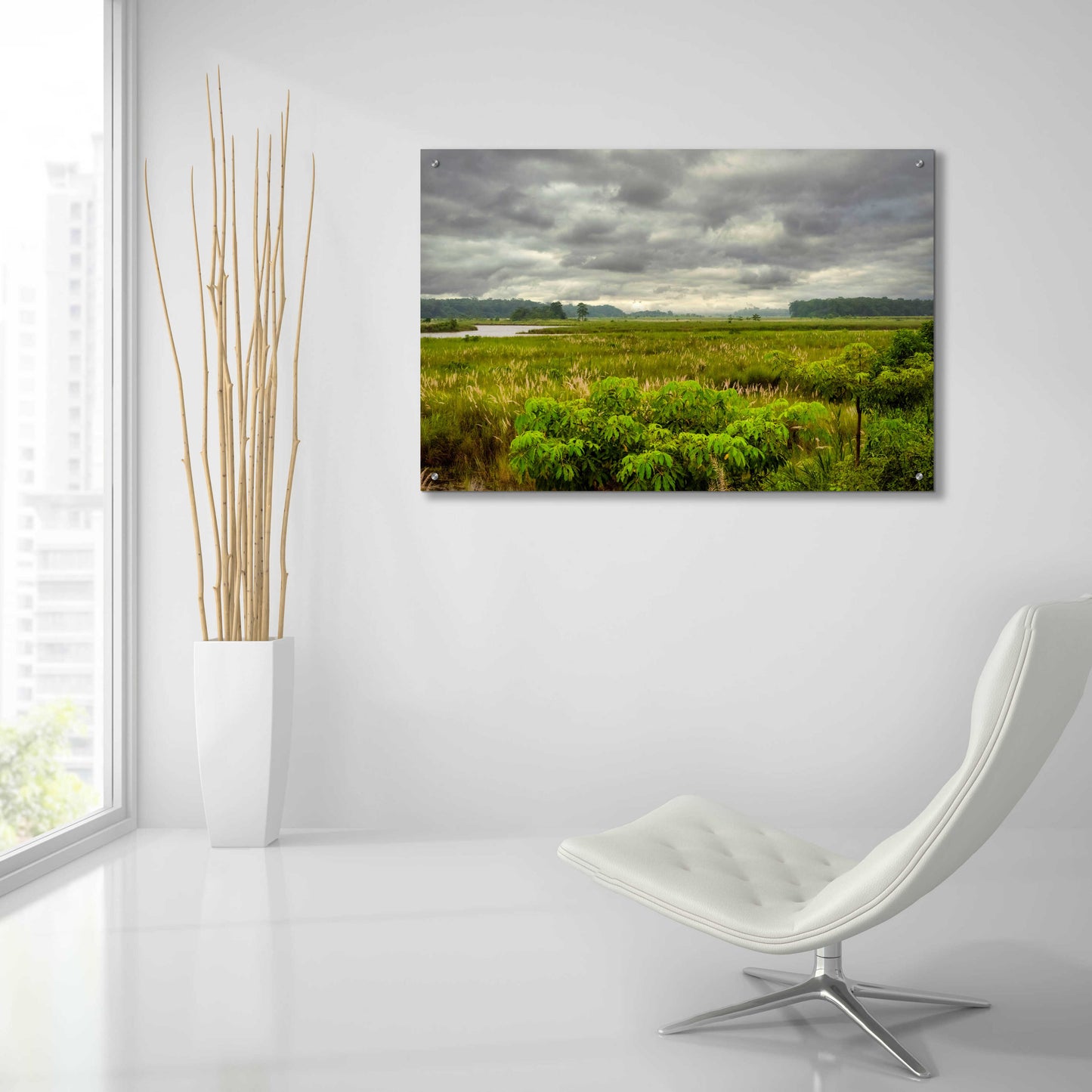 Epic Art 'Nepal Jungle' by Grace Fine Arts Photography, Acrylic Glass Wall Art,36x24