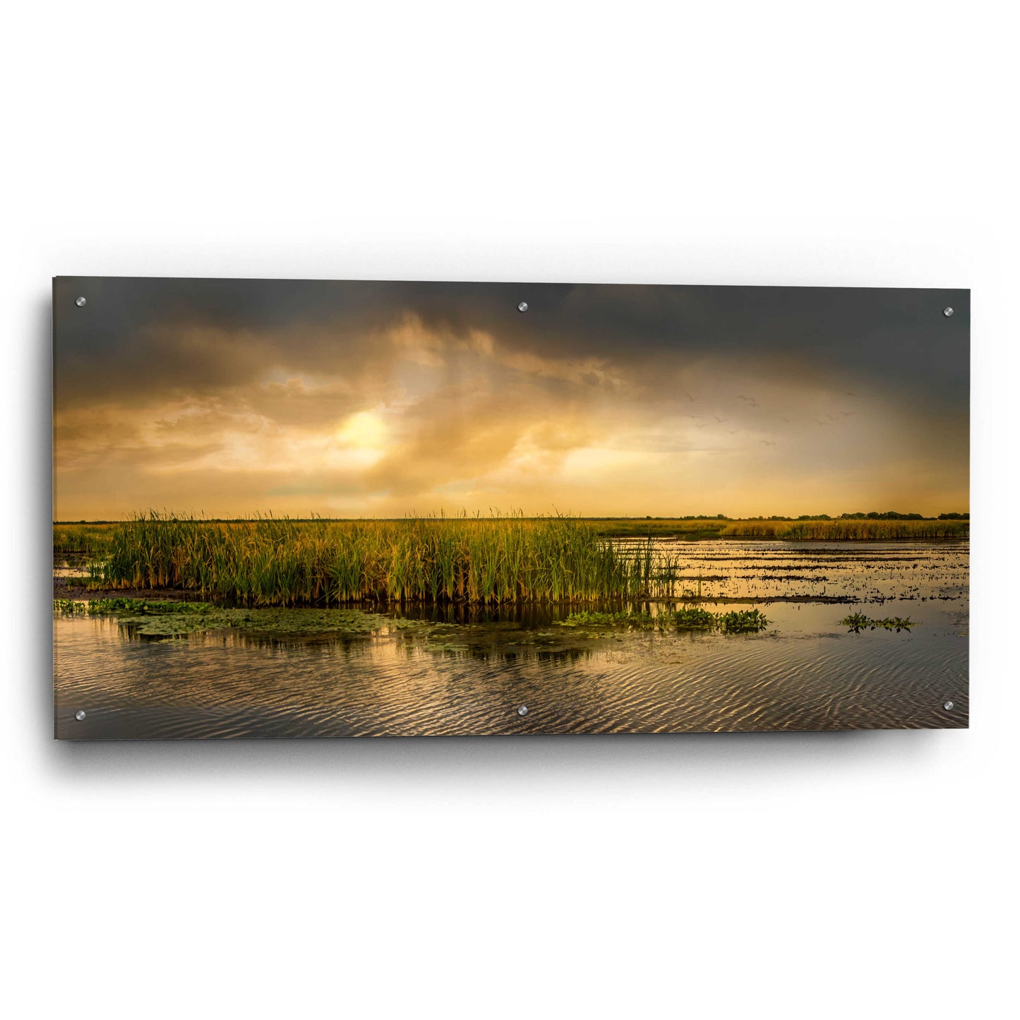 Epic Art 'Salt Flats of San Bernard at Sunset' by Grace Fine Arts Photography, Acrylic Glass Wall Art,48x24