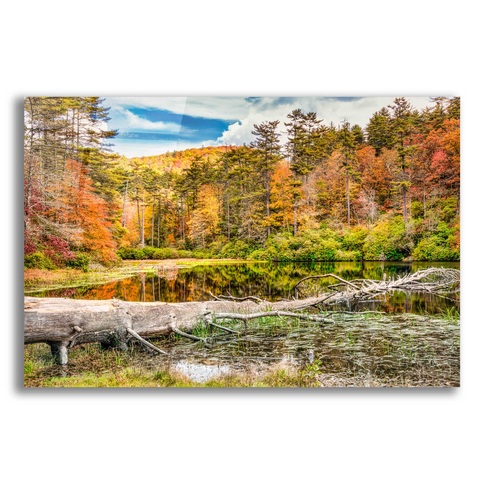 Epic Art 'Smoky Mountains Autumn Lake 2' by Grace Fine Arts Photography, Acrylic Glass Wall Art,16x12