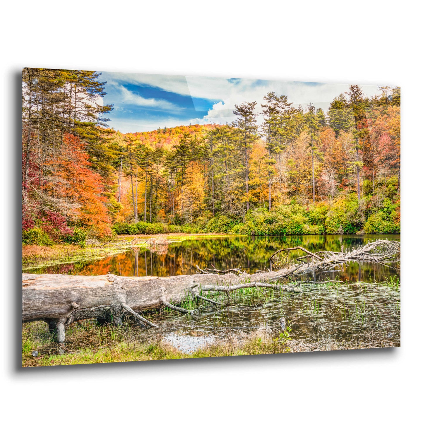 Epic Art 'Smoky Mountains Autumn Lake 2' by Grace Fine Arts Photography, Acrylic Glass Wall Art,36x24