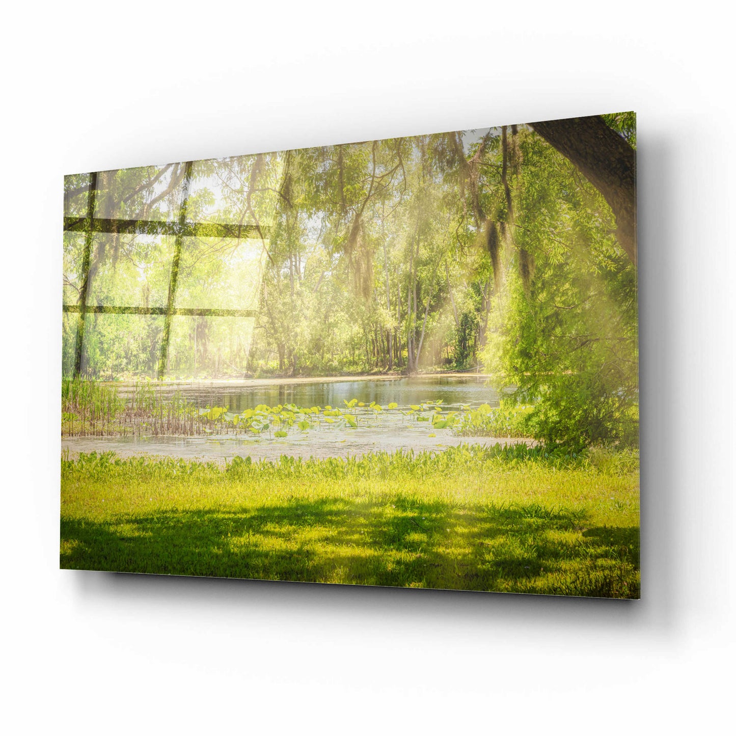 Epic Art 'Texas Pond on a Sunny Afternoon' by Grace Fine Arts Photography, Acrylic Glass Wall Art,16x12