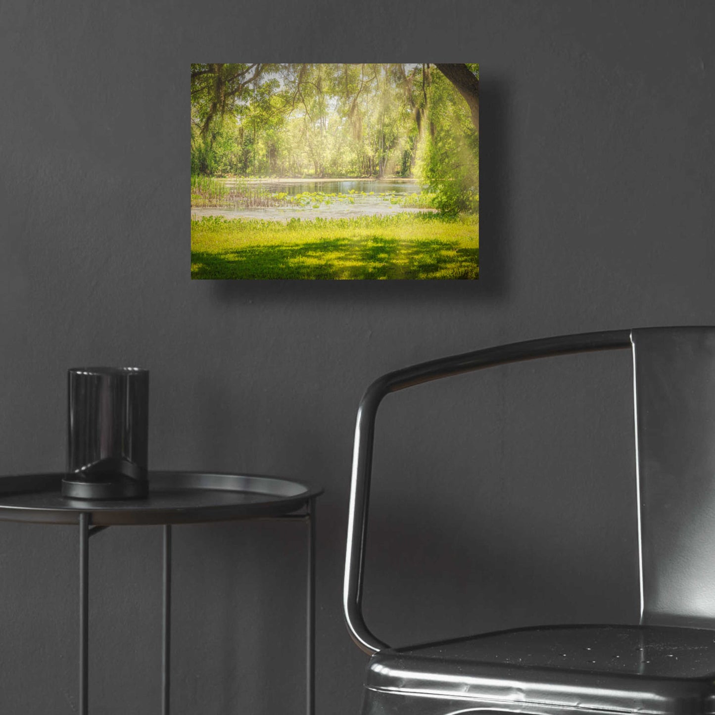 Epic Art 'Texas Pond on a Sunny Afternoon' by Grace Fine Arts Photography, Acrylic Glass Wall Art,16x12