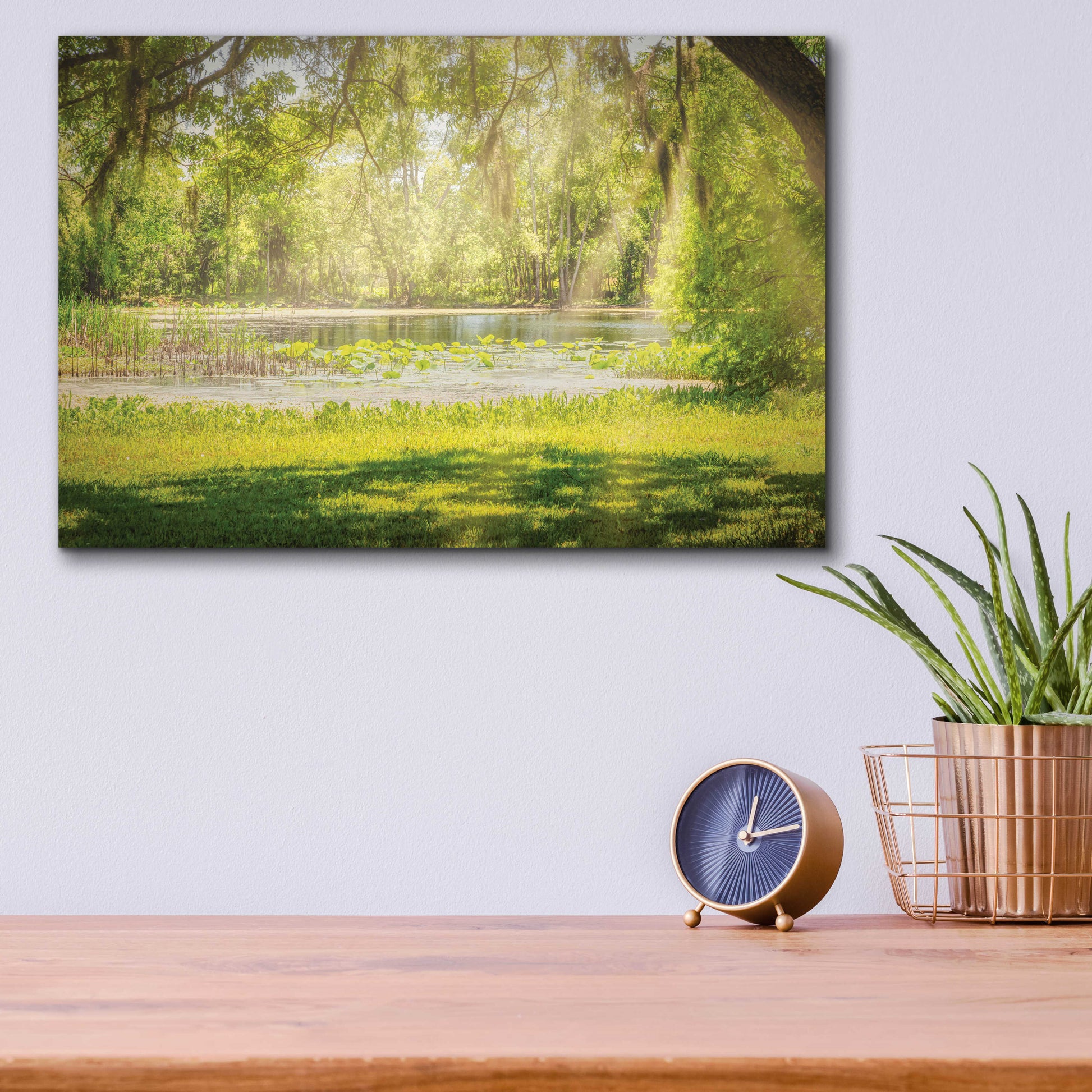 Epic Art 'Texas Pond on a Sunny Afternoon' by Grace Fine Arts Photography, Acrylic Glass Wall Art,16x12