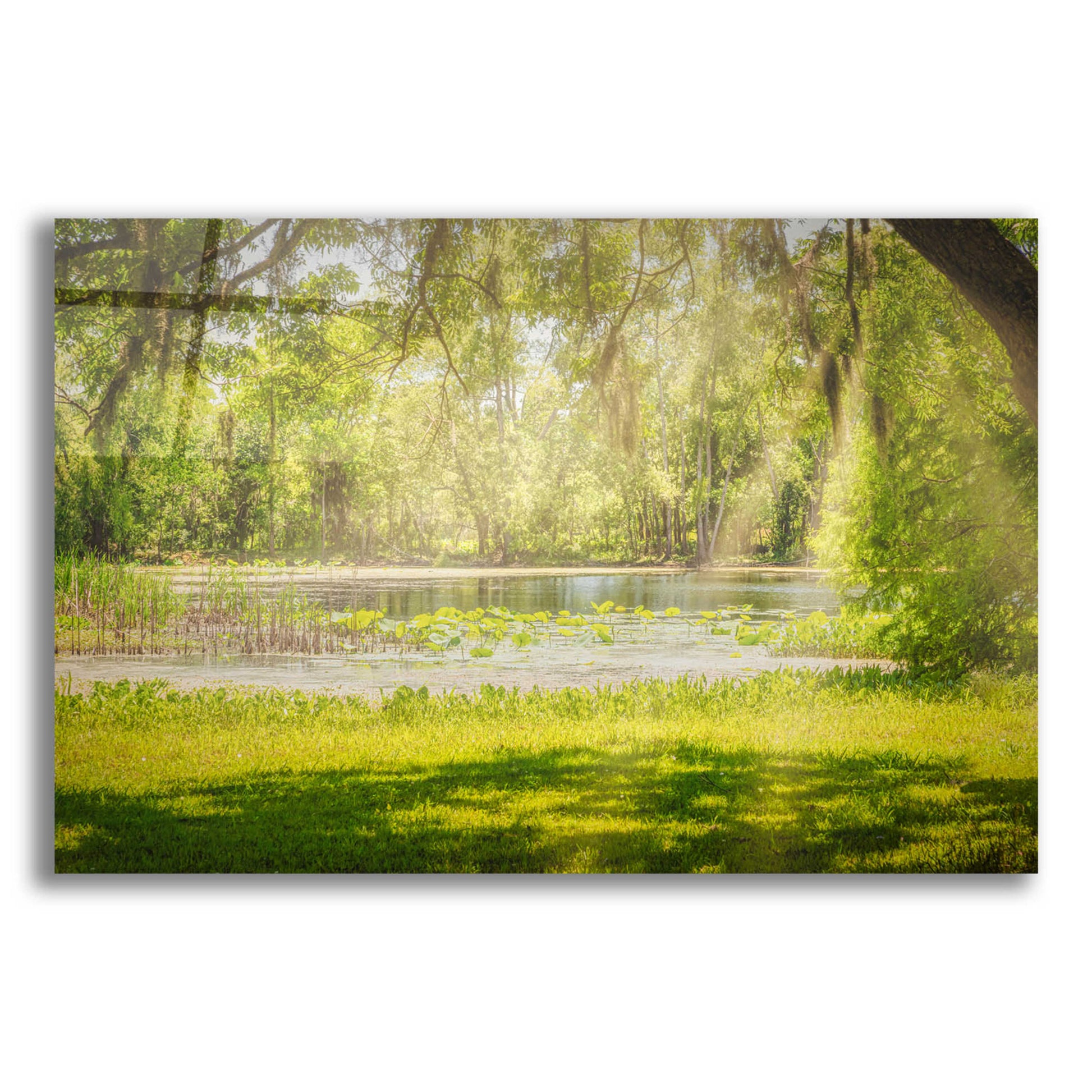 Epic Art 'Texas Pond on a Sunny Afternoon' by Grace Fine Arts Photography, Acrylic Glass Wall Art,16x12