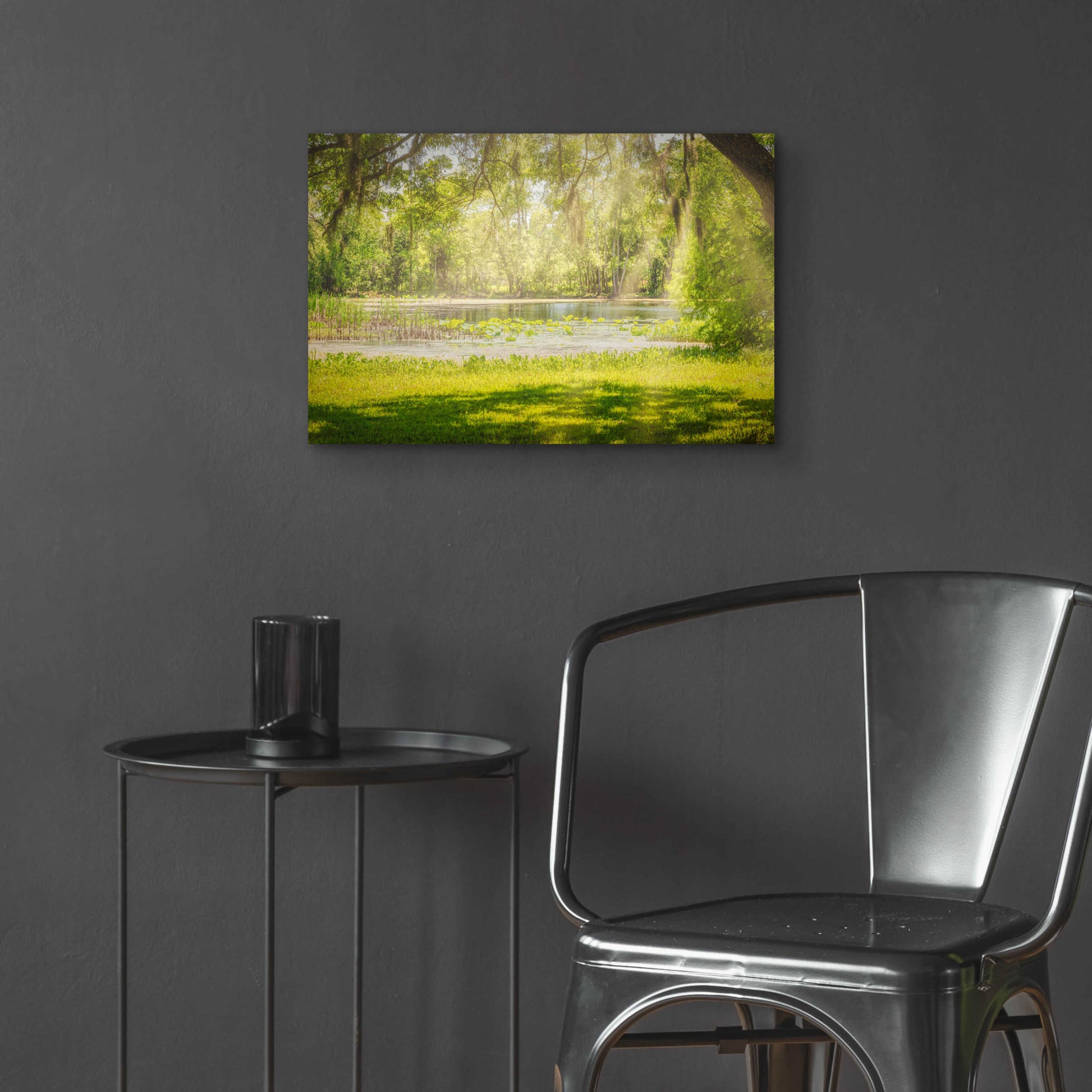 Epic Art 'Texas Pond on a Sunny Afternoon' by Grace Fine Arts Photography, Acrylic Glass Wall Art,24x16