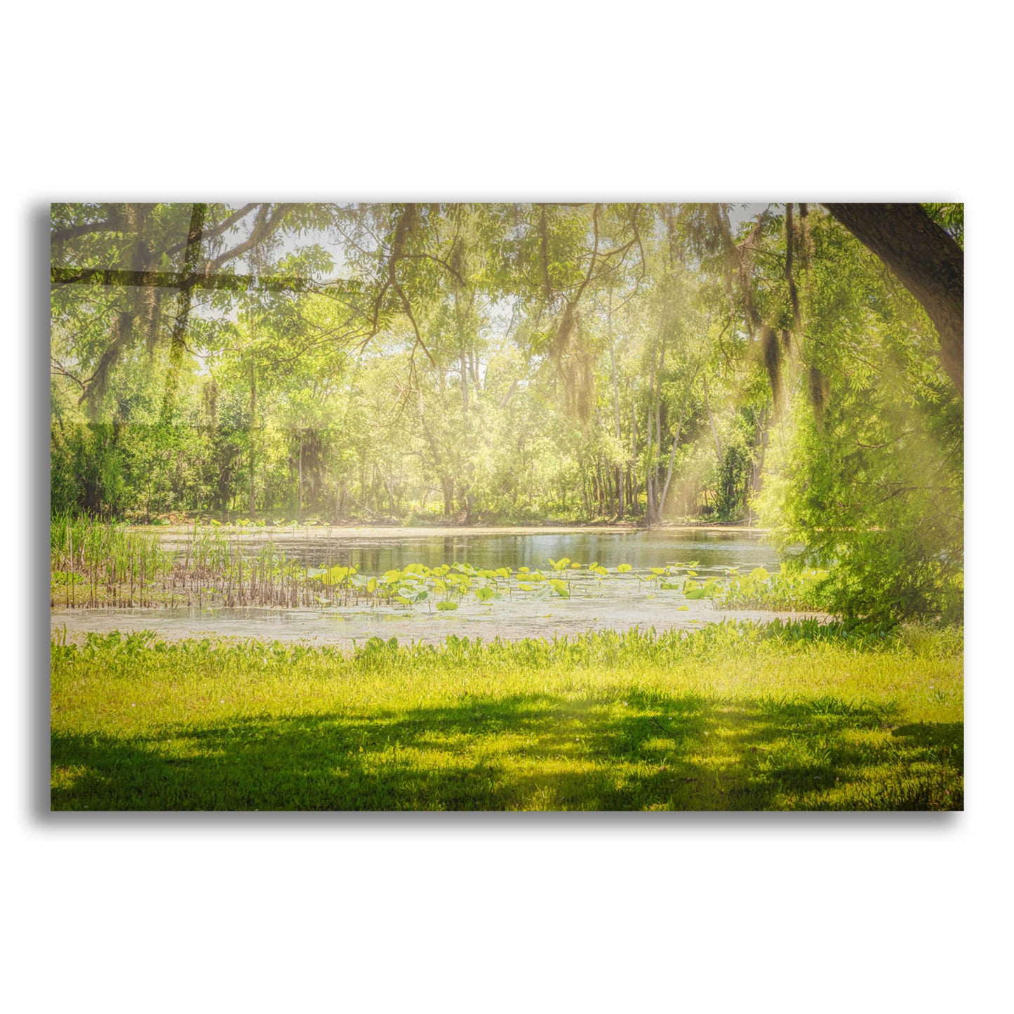 Epic Art 'Texas Pond on a Sunny Afternoon' by Grace Fine Arts Photography, Acrylic Glass Wall Art,24x16