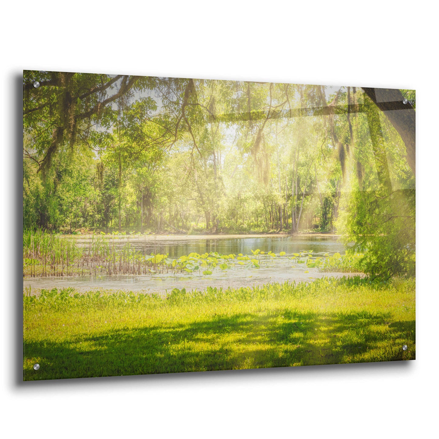 Epic Art 'Texas Pond on a Sunny Afternoon' by Grace Fine Arts Photography, Acrylic Glass Wall Art,36x24