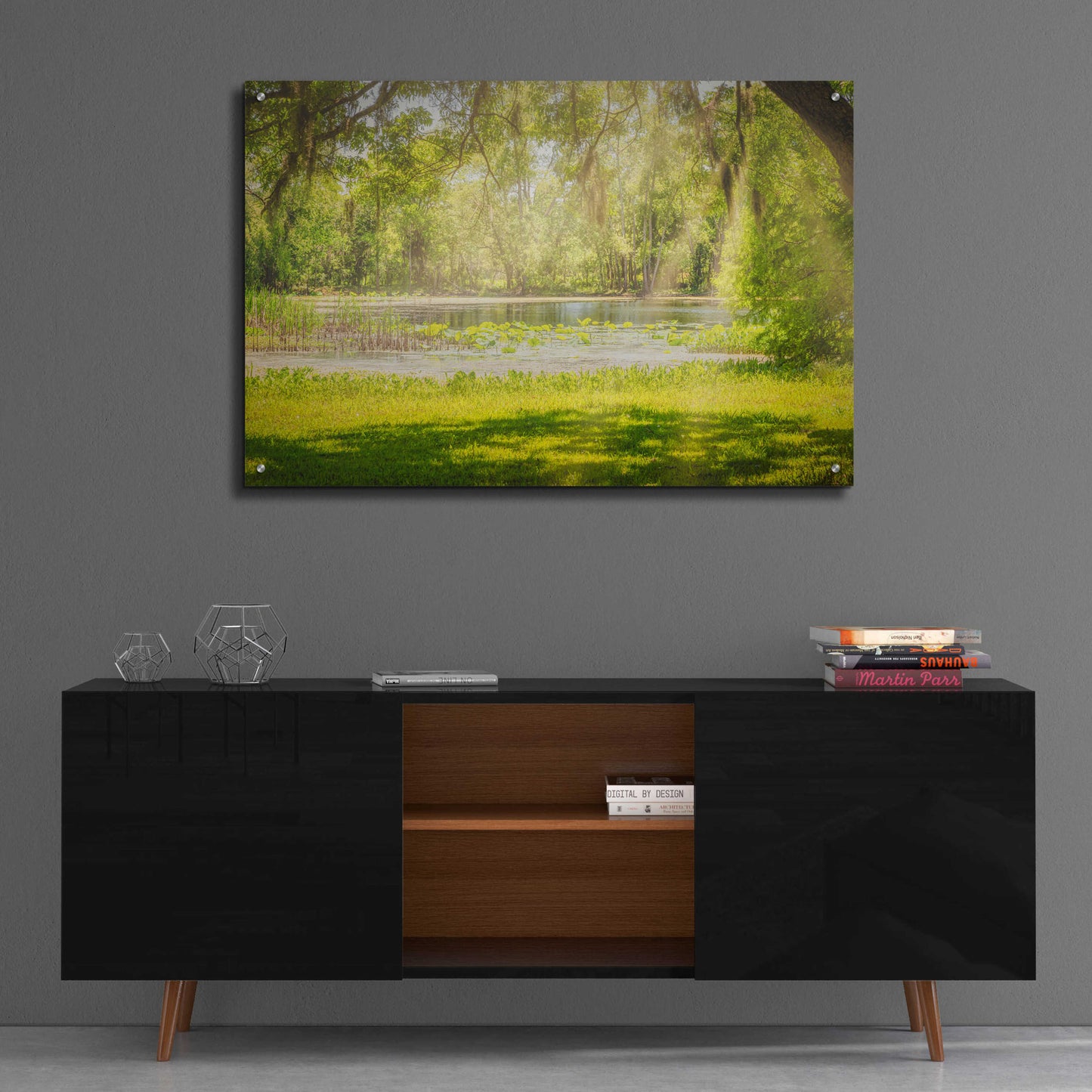 Epic Art 'Texas Pond on a Sunny Afternoon' by Grace Fine Arts Photography, Acrylic Glass Wall Art,36x24