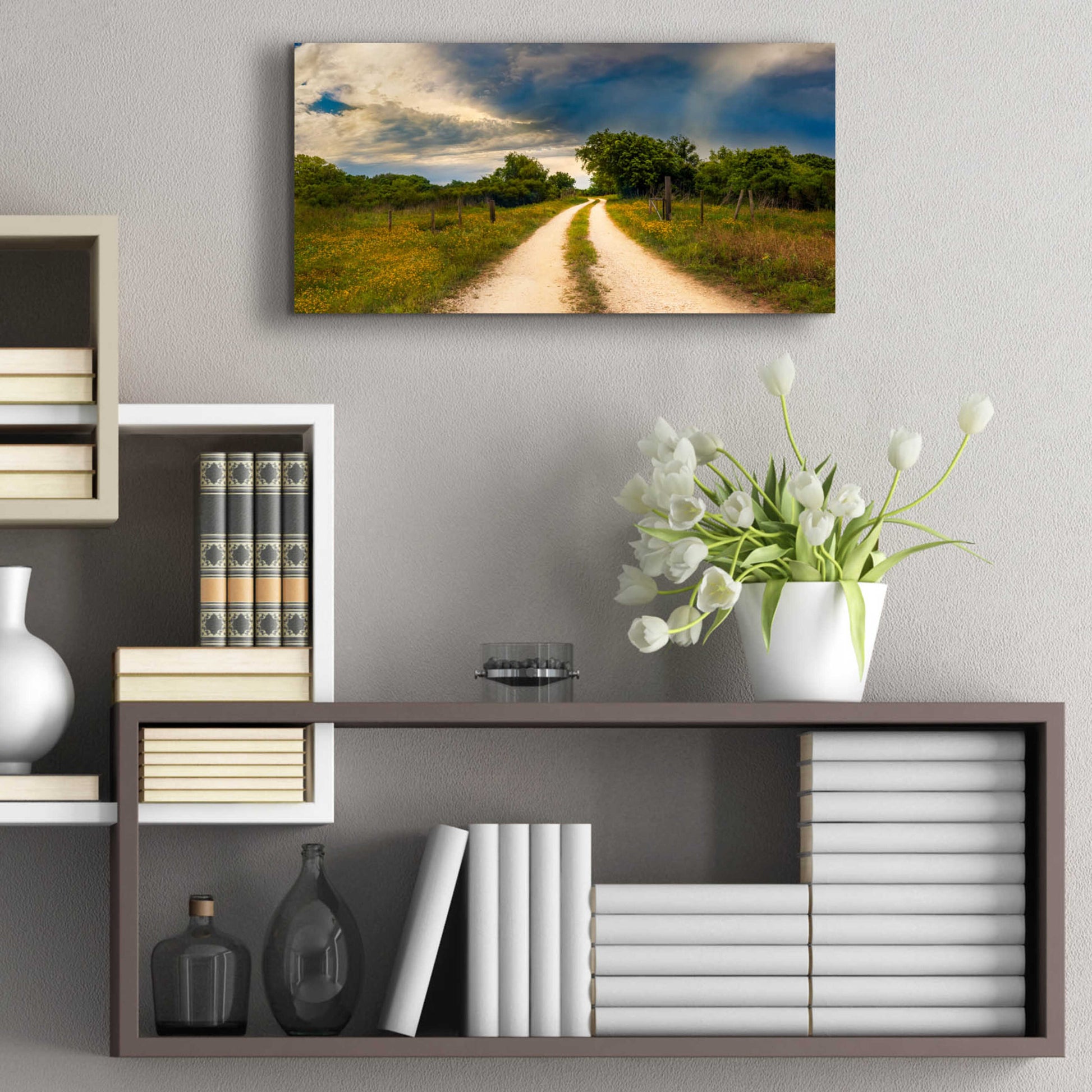 Epic Art 'Texas Winding Road' by Grace Fine Arts Photography, Acrylic Glass Wall Art,24x12