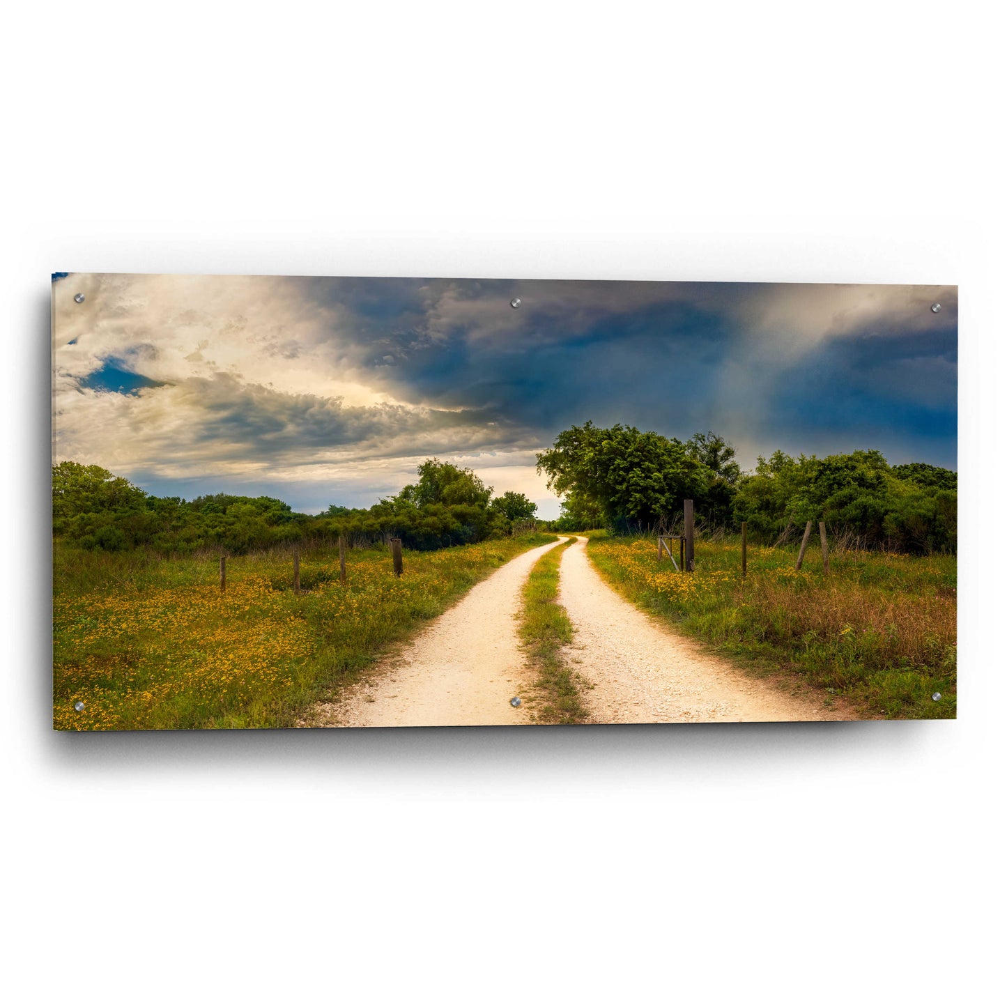 Epic Art 'Texas Winding Road' by Grace Fine Arts Photography, Acrylic Glass Wall Art,48x24