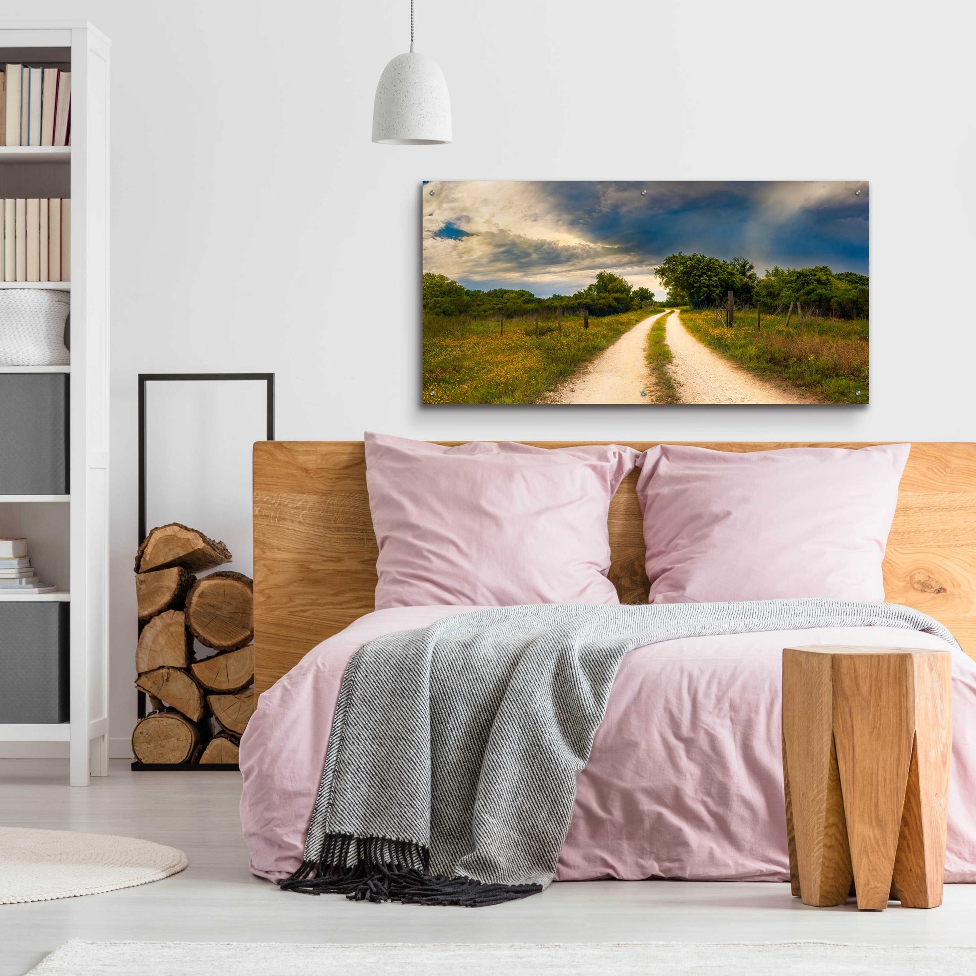 Epic Art 'Texas Winding Road' by Grace Fine Arts Photography, Acrylic Glass Wall Art,48x24