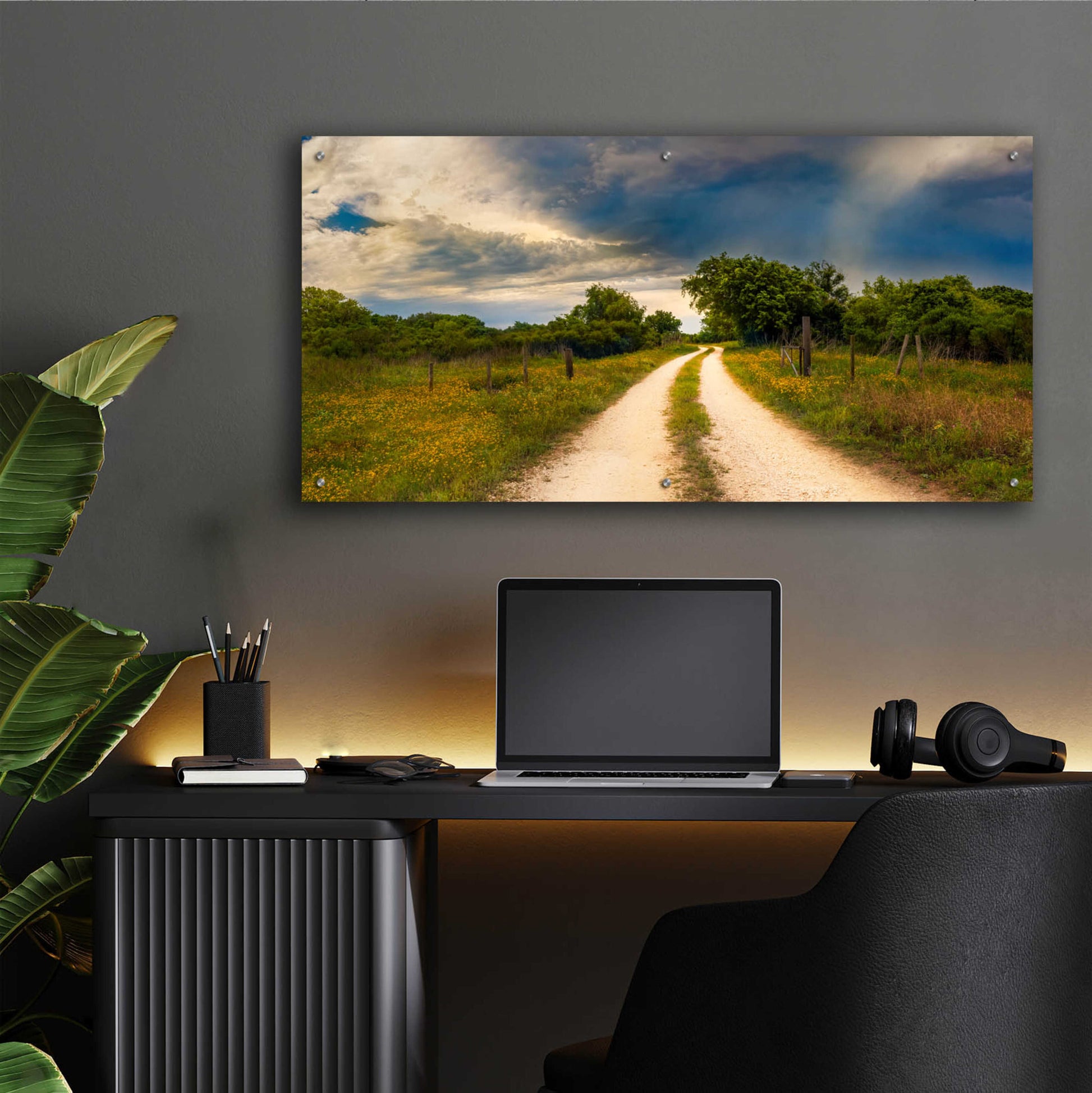 Epic Art 'Texas Winding Road' by Grace Fine Arts Photography, Acrylic Glass Wall Art,48x24