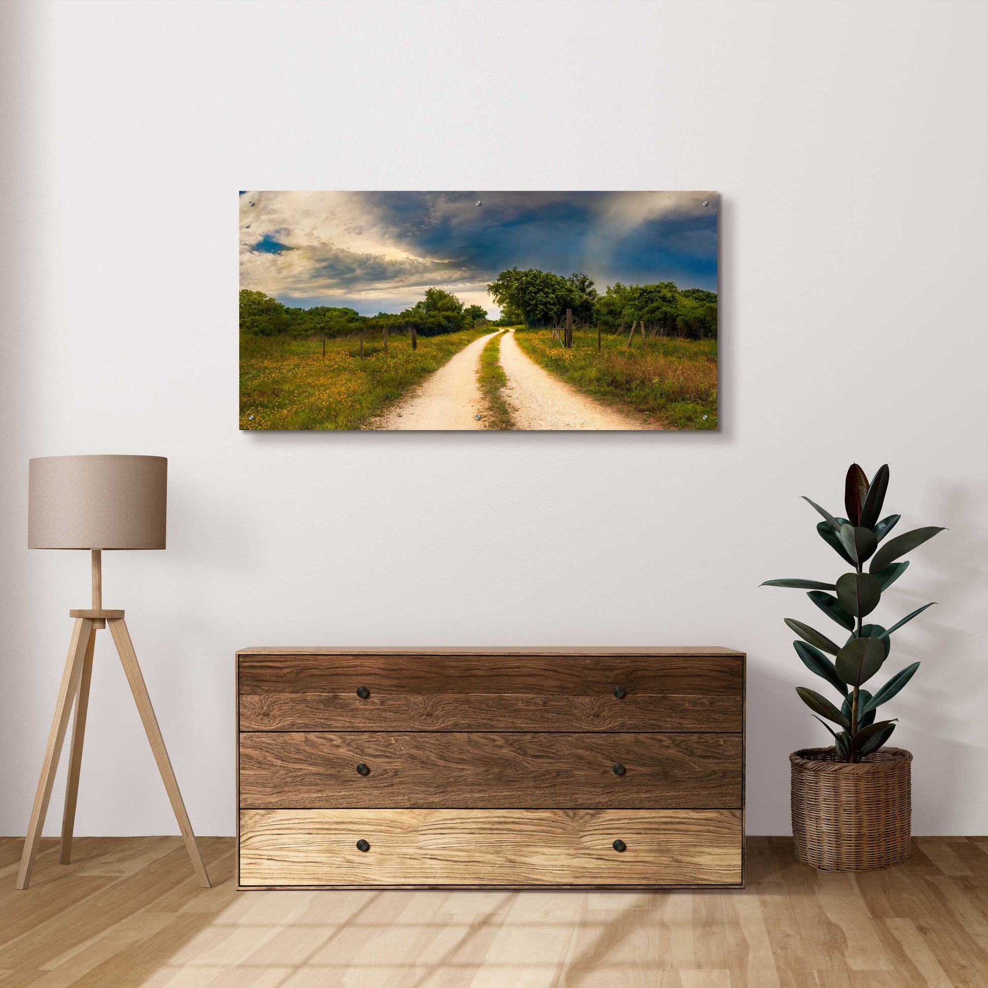 Epic Art 'Texas Winding Road' by Grace Fine Arts Photography, Acrylic Glass Wall Art,48x24