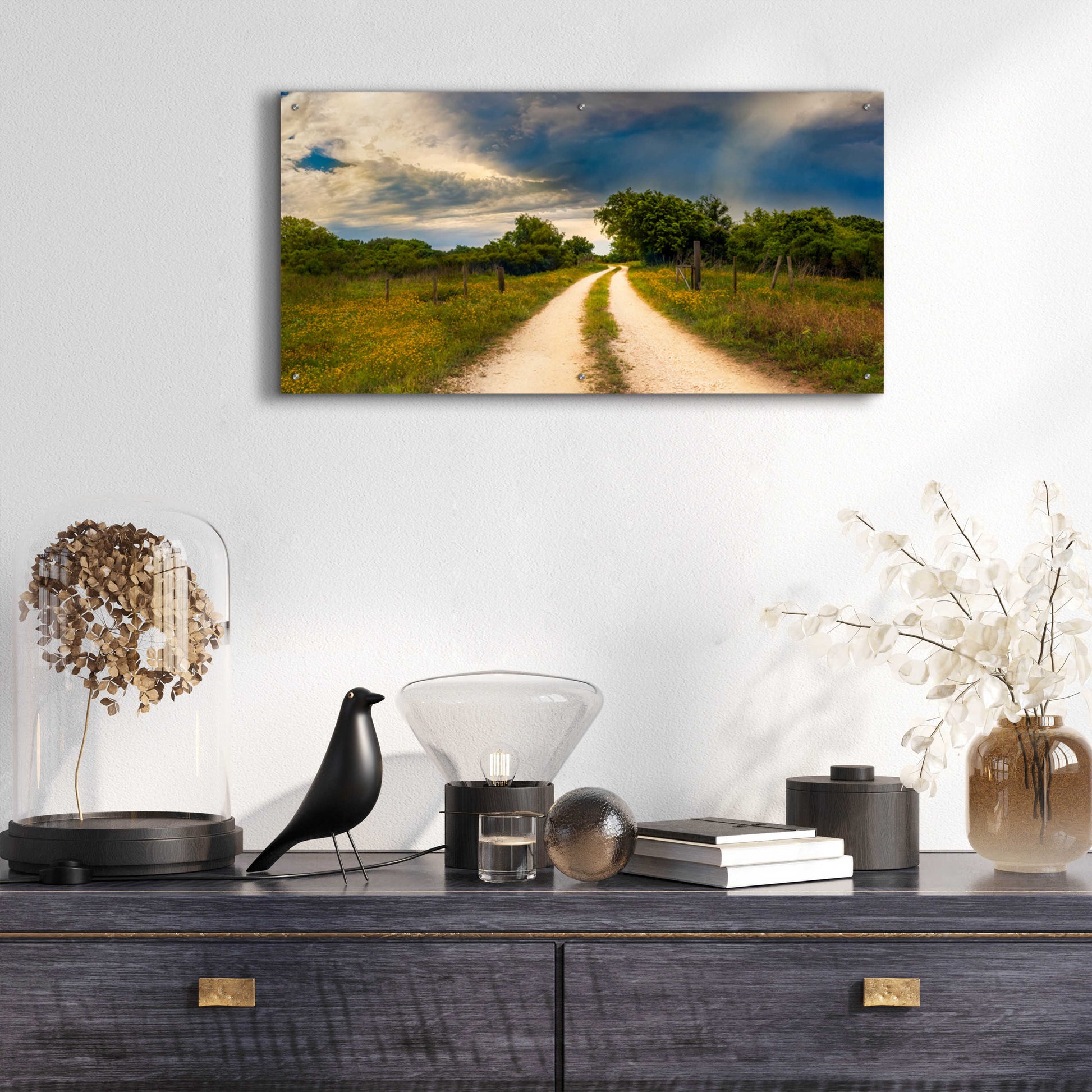 Epic Art 'Texas Winding Road' by Grace Fine Arts Photography, Acrylic Glass Wall Art,48x24