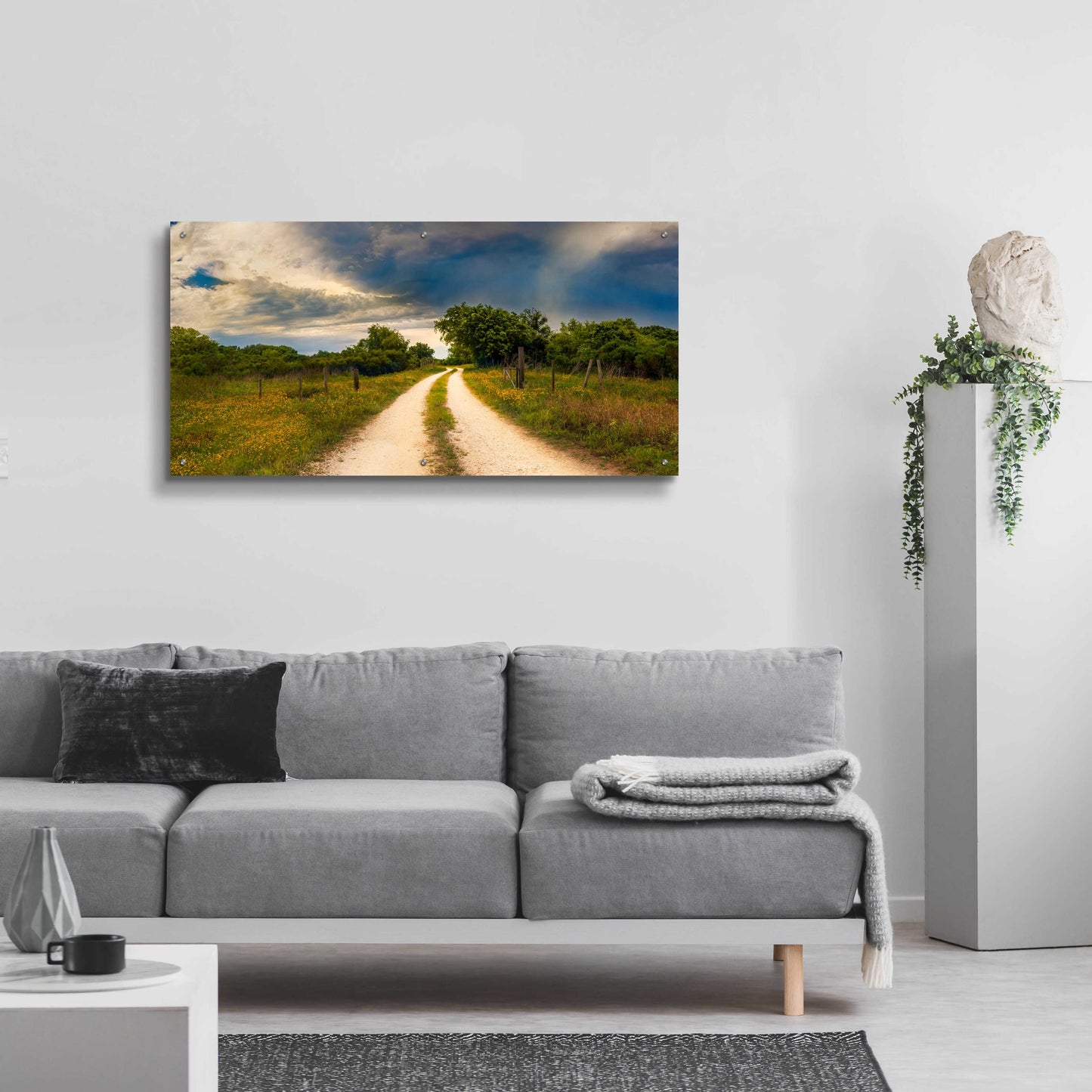 Epic Art 'Texas Winding Road' by Grace Fine Arts Photography, Acrylic Glass Wall Art,48x24