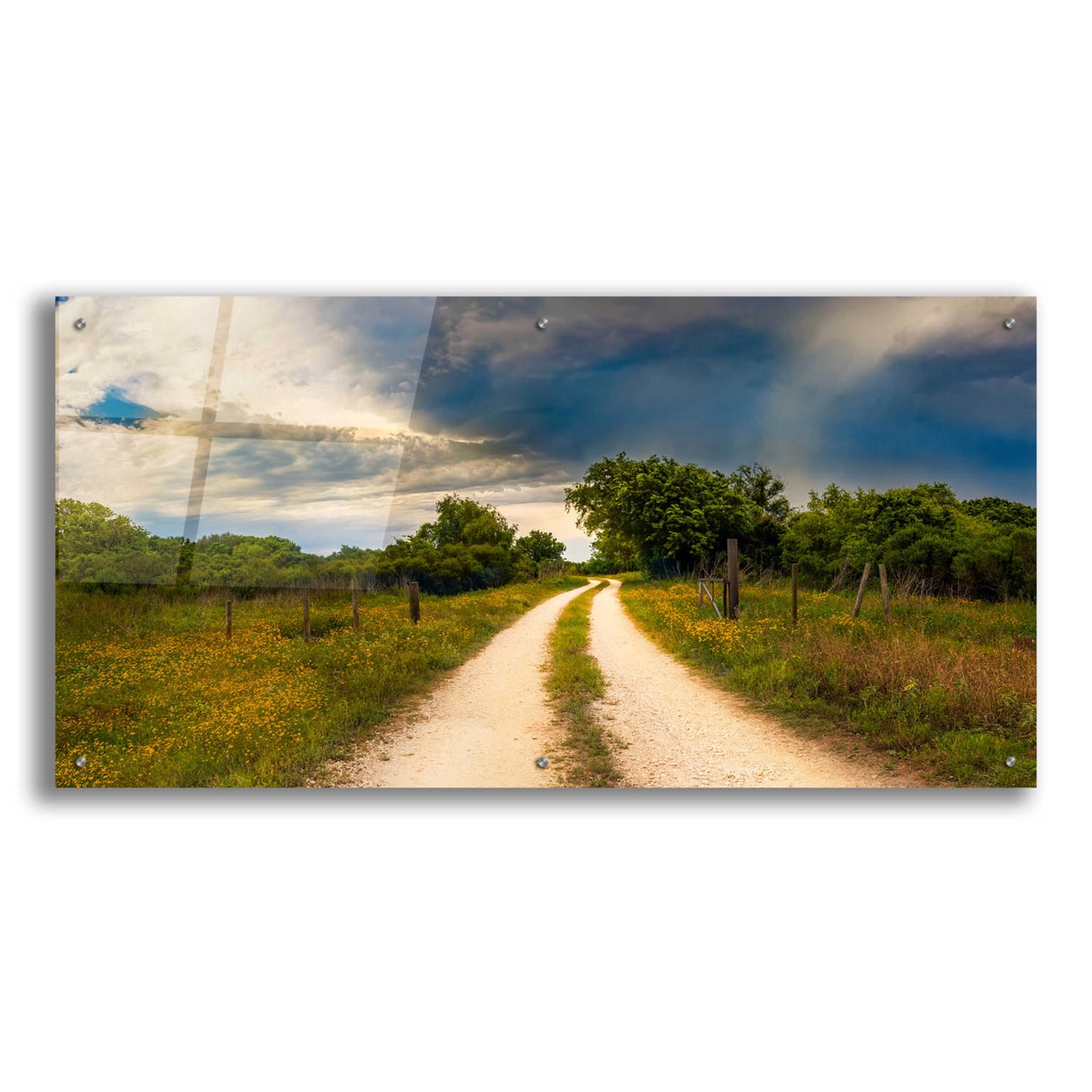 Epic Art 'Texas Winding Road' by Grace Fine Arts Photography, Acrylic Glass Wall Art,48x24