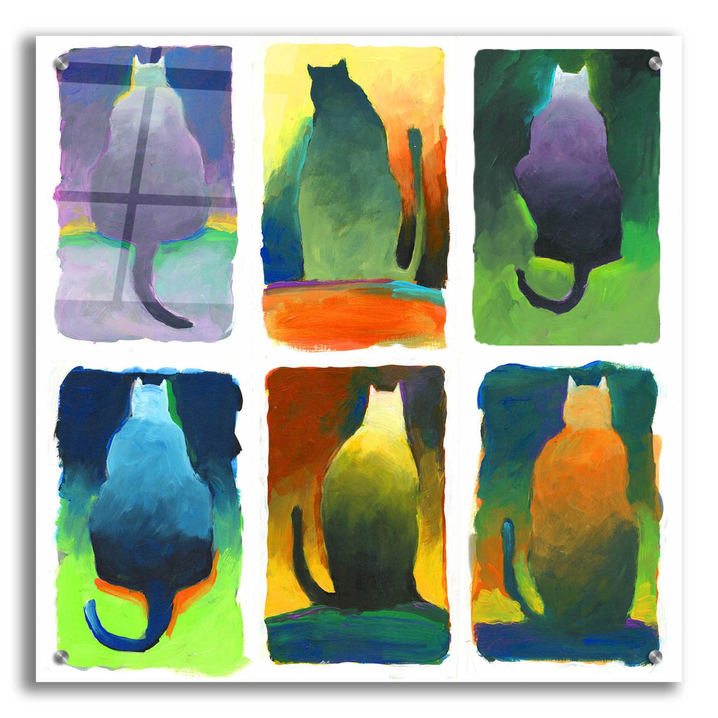 Epic Art 'Cats 5 7 2' by Howie Green, Acrylic Glass Wall Art,24x24