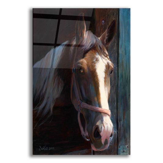 Epic Art 'Dark Horse' by Julie Bel, Acrylic Glass Wall Art