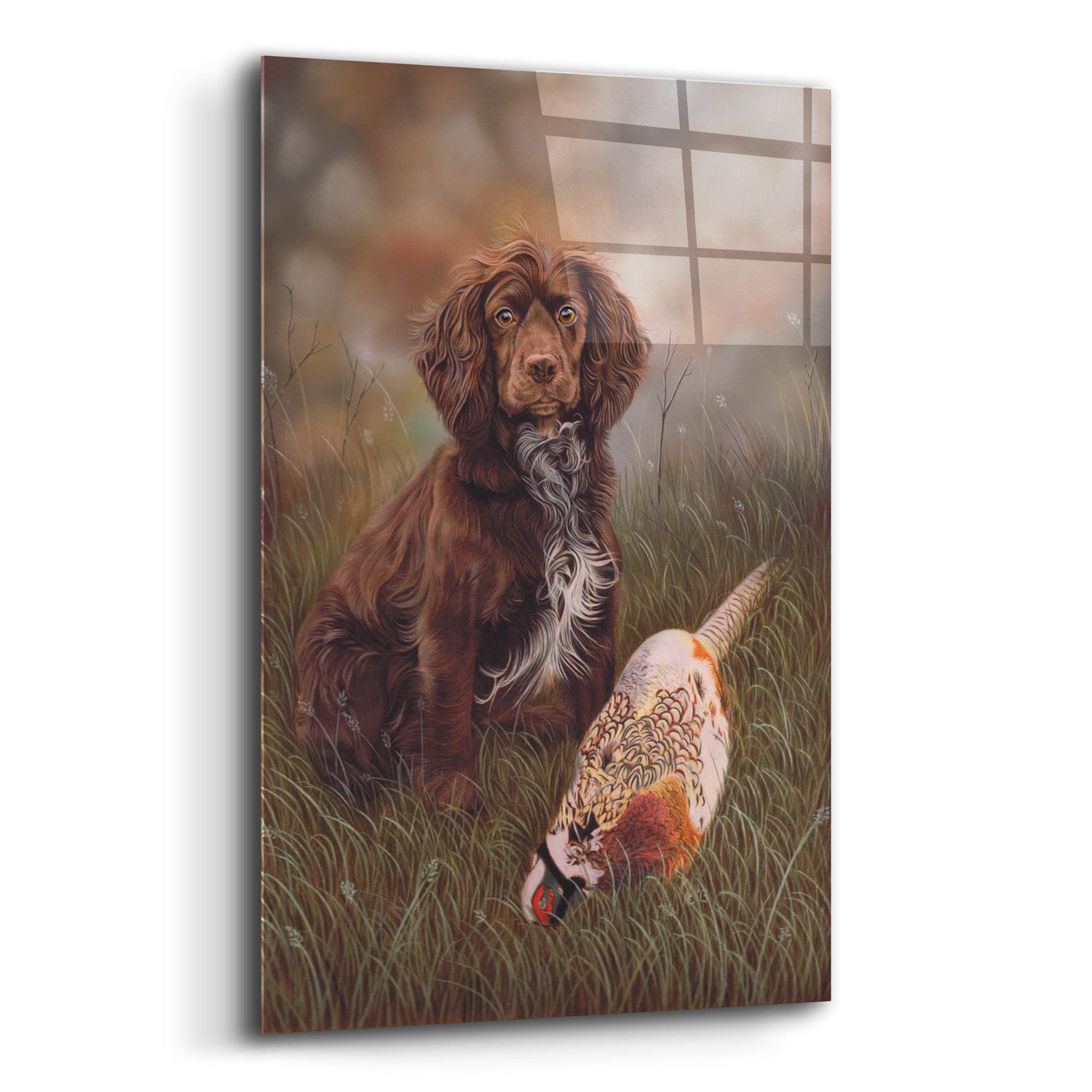 Epic Art 'Cocker Spaniel Tia' by Karie-Ann Cooper, Acrylic Glass Wall Art,12x16