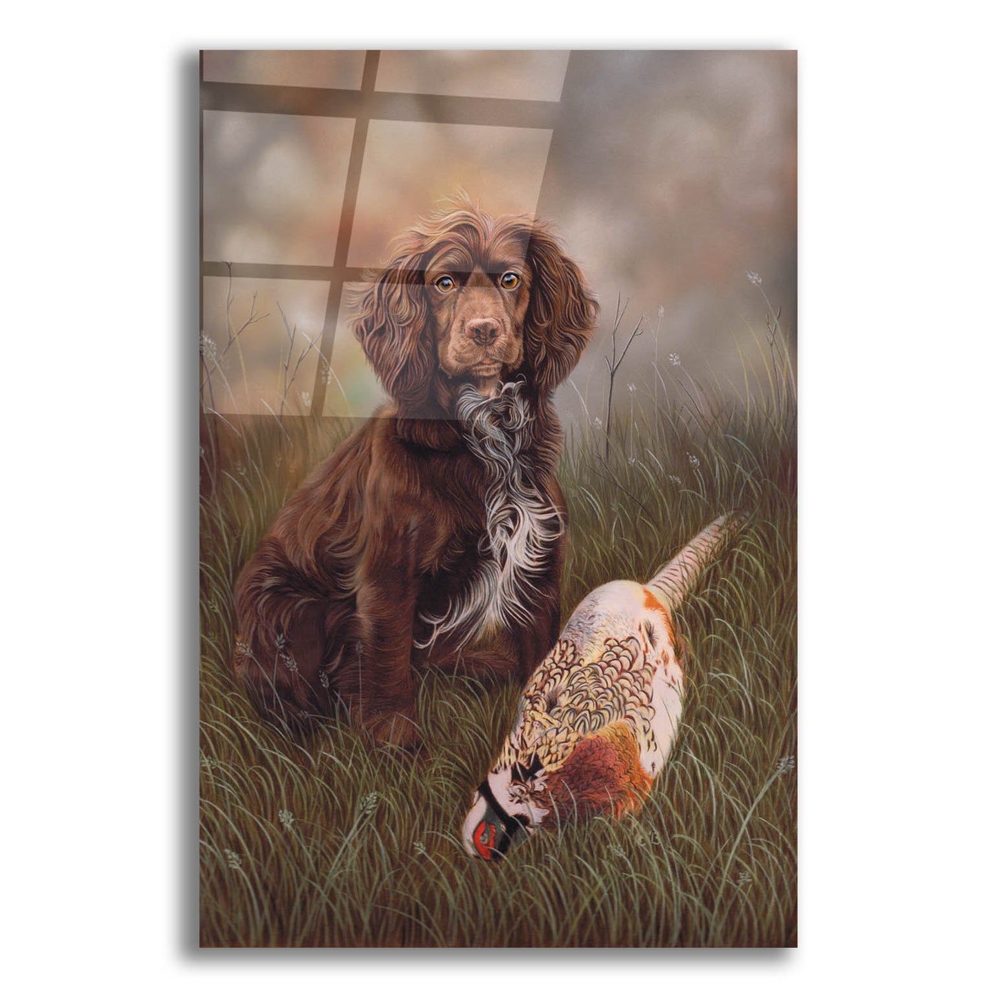 Epic Art 'Cocker Spaniel Tia' by Karie-Ann Cooper, Acrylic Glass Wall Art,12x16