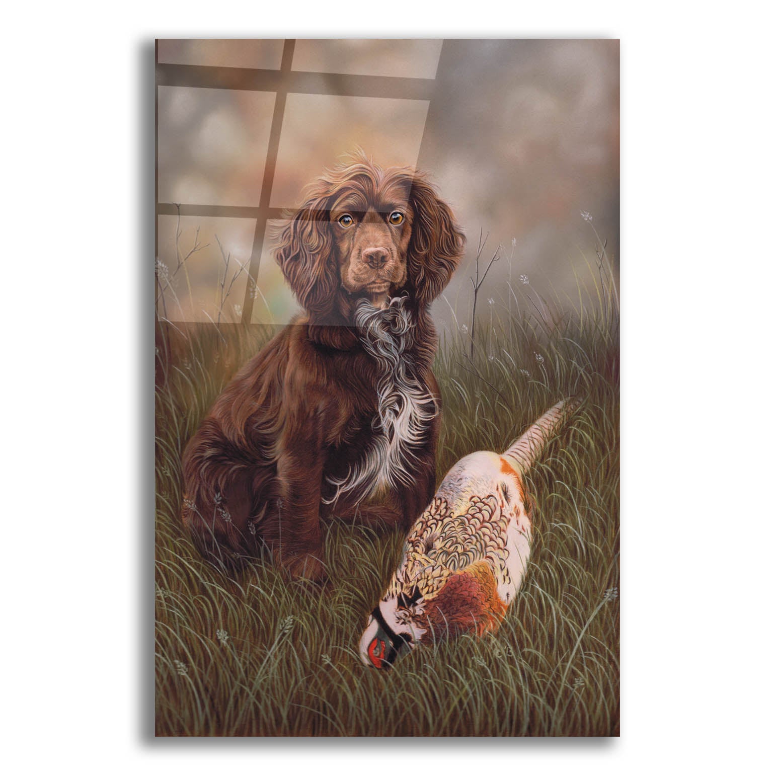 Epic Art 'Cocker Spaniel Tia' by Karie-Ann Cooper, Acrylic Glass Wall Art,16x24