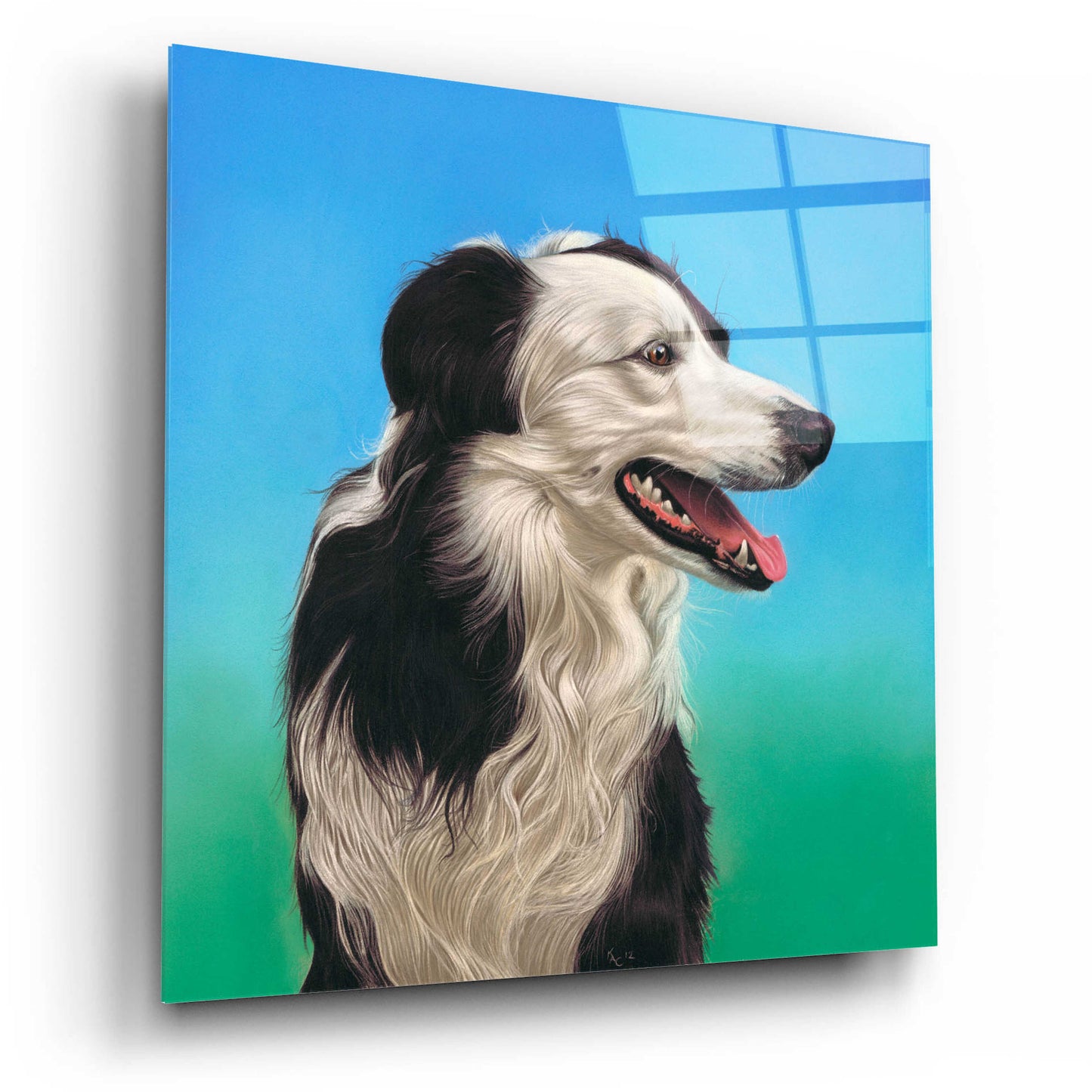 Epic Art 'Collie Jud' by Karie-Ann Cooper, Acrylic Glass Wall Art,12x12