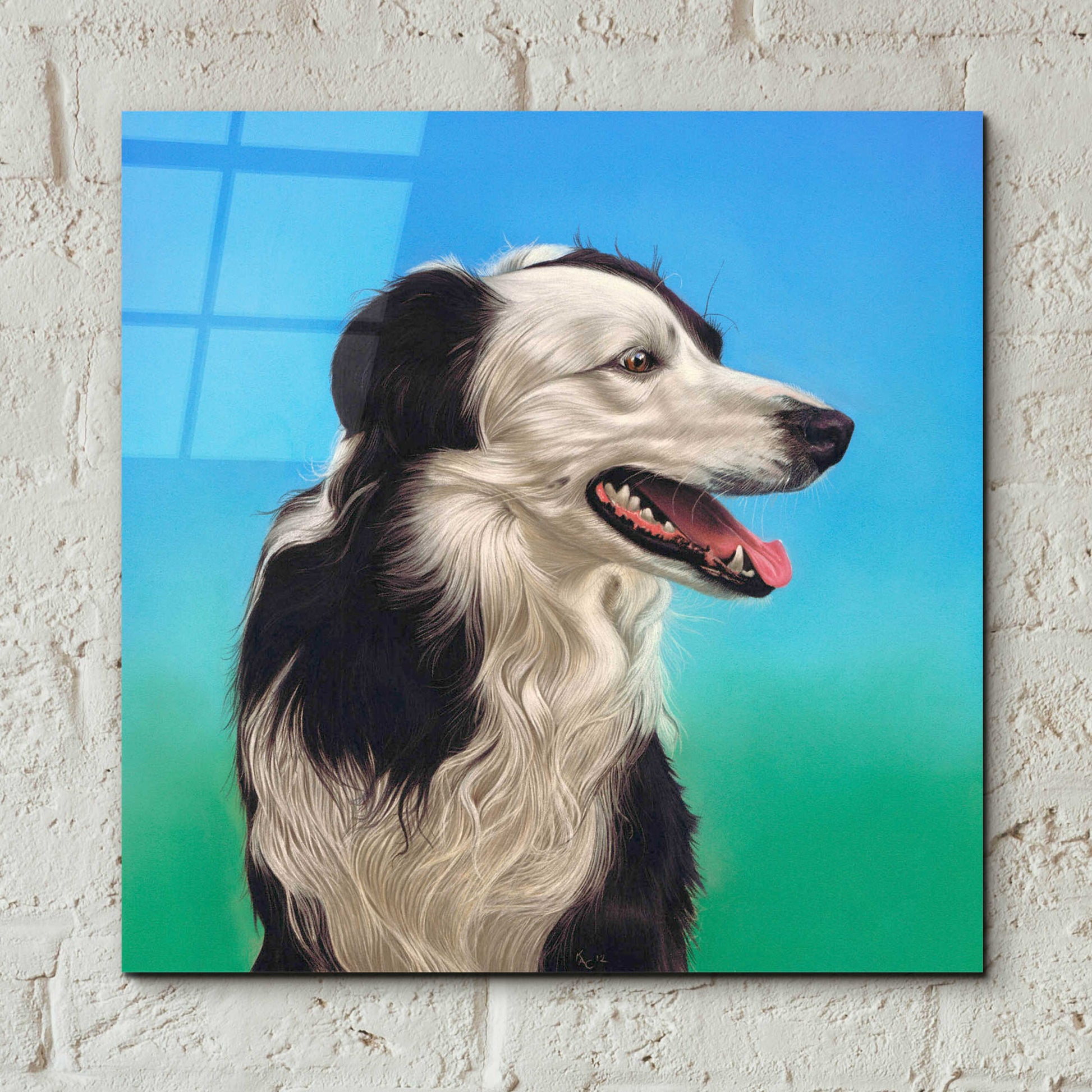 Epic Art 'Collie Jud' by Karie-Ann Cooper, Acrylic Glass Wall Art,12x12