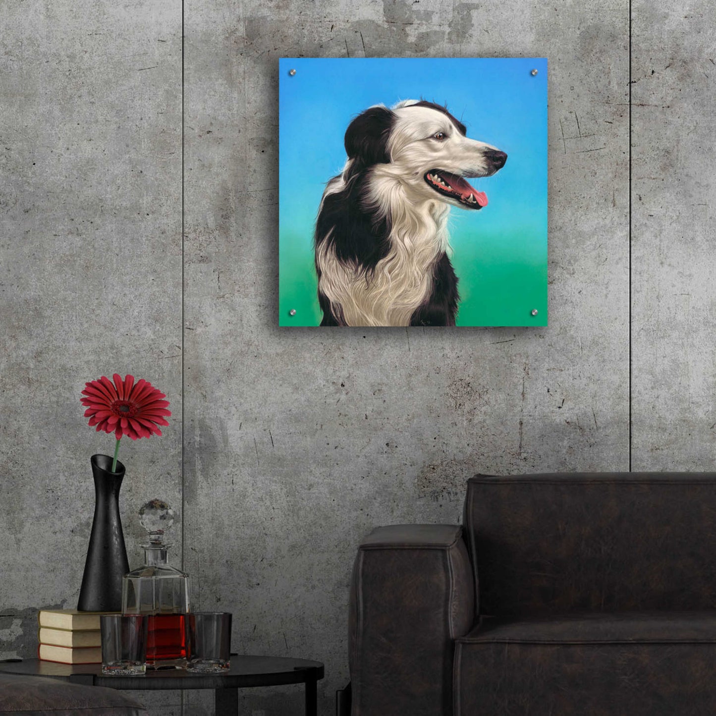 Epic Art 'Collie Jud' by Karie-Ann Cooper, Acrylic Glass Wall Art,24x24