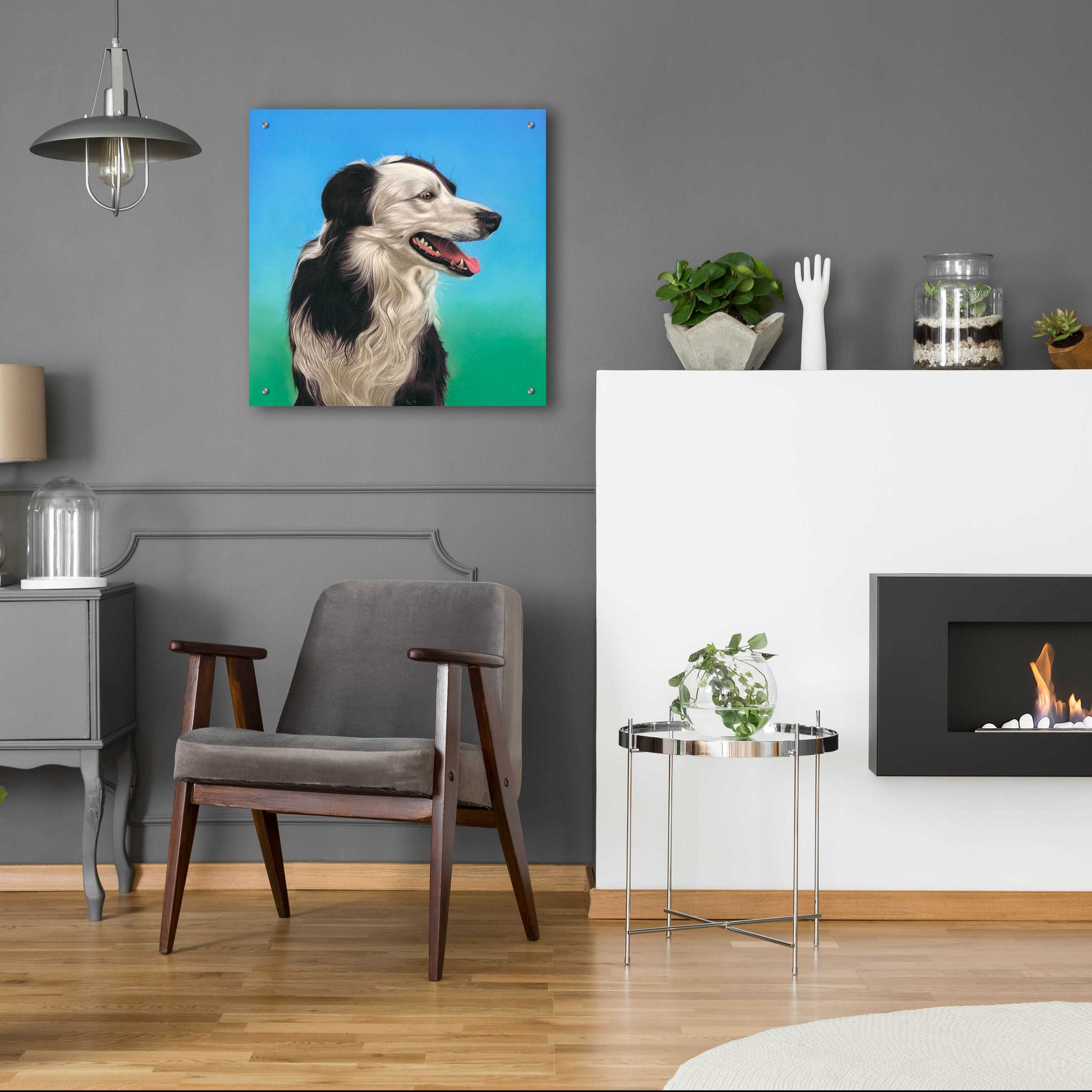 Epic Art 'Collie Jud' by Karie-Ann Cooper, Acrylic Glass Wall Art,24x24