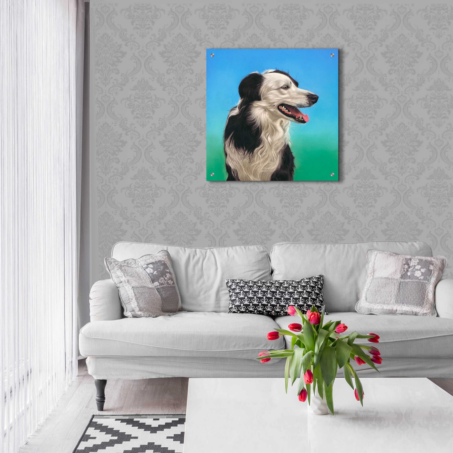 Epic Art 'Collie Jud' by Karie-Ann Cooper, Acrylic Glass Wall Art,24x24