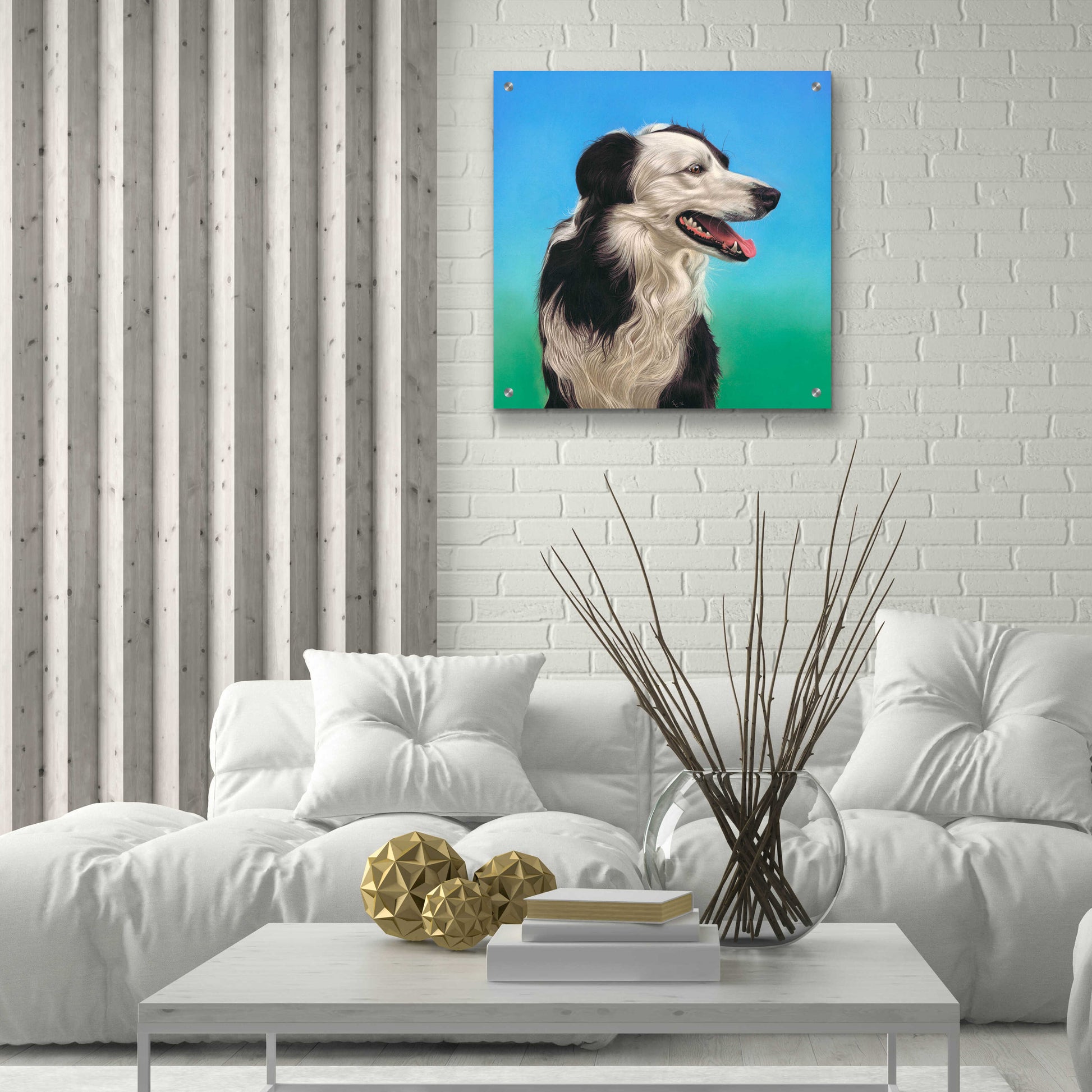 Epic Art 'Collie Jud' by Karie-Ann Cooper, Acrylic Glass Wall Art,24x24