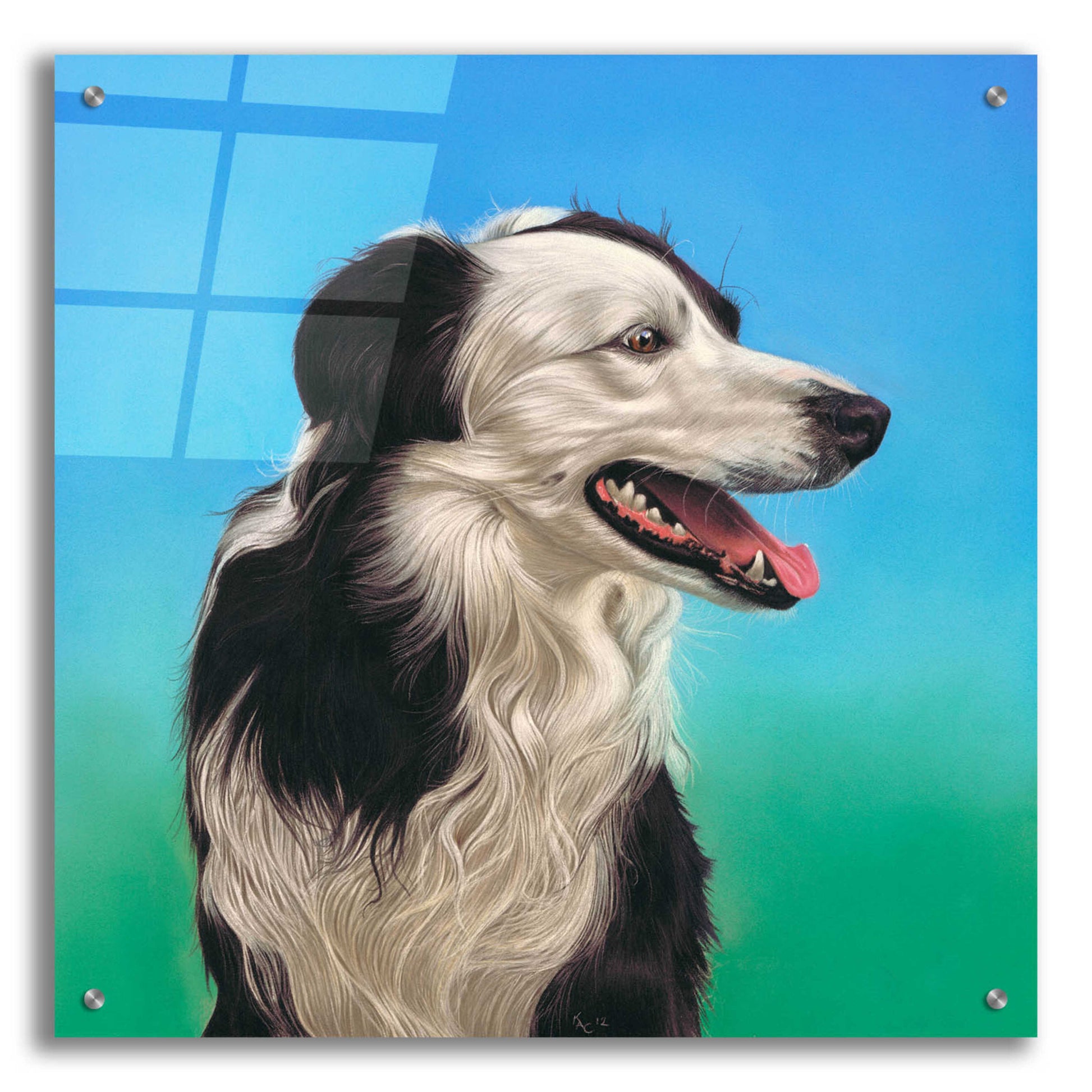 Epic Art 'Collie Jud' by Karie-Ann Cooper, Acrylic Glass Wall Art,24x24