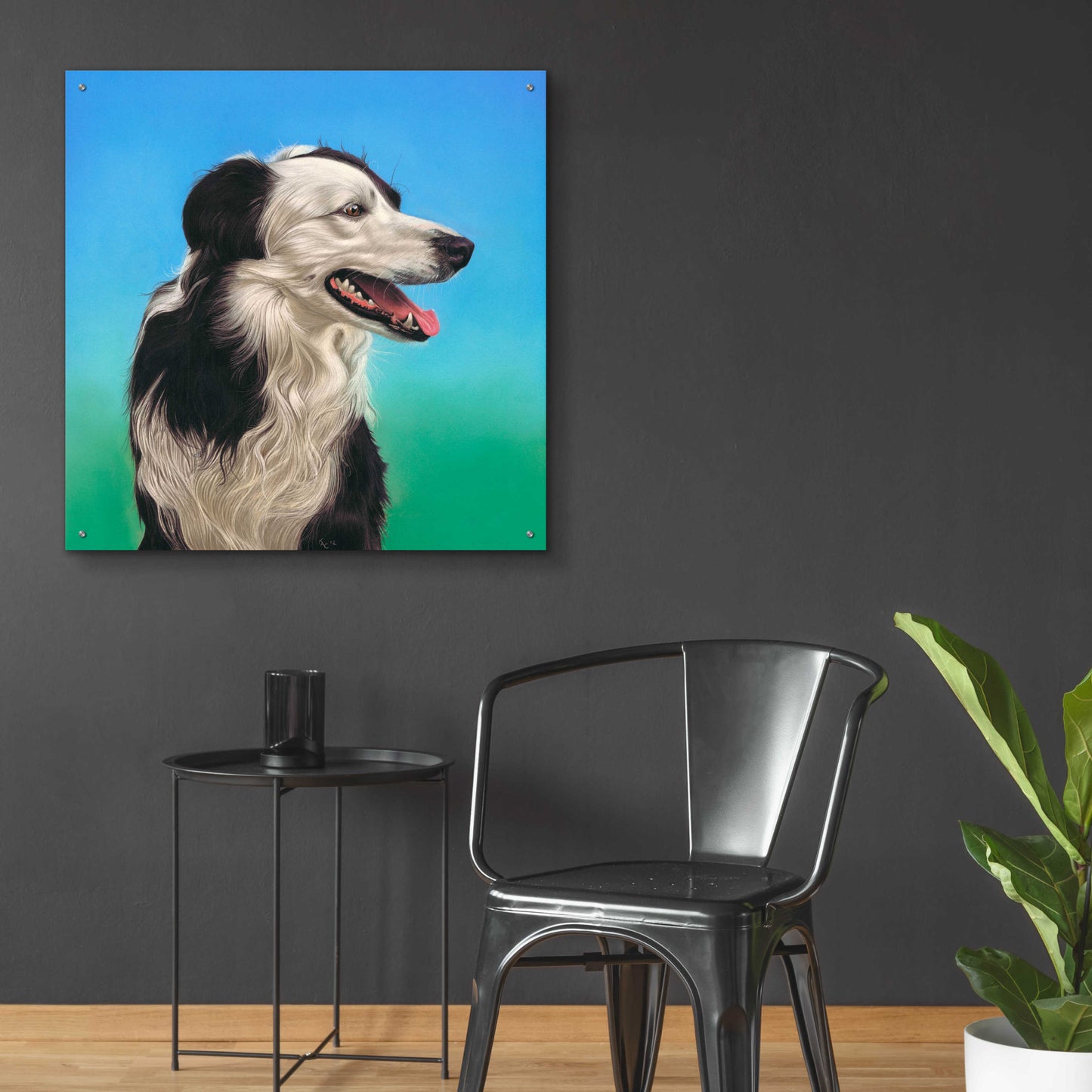 Epic Art 'Collie Jud' by Karie-Ann Cooper, Acrylic Glass Wall Art,36x36