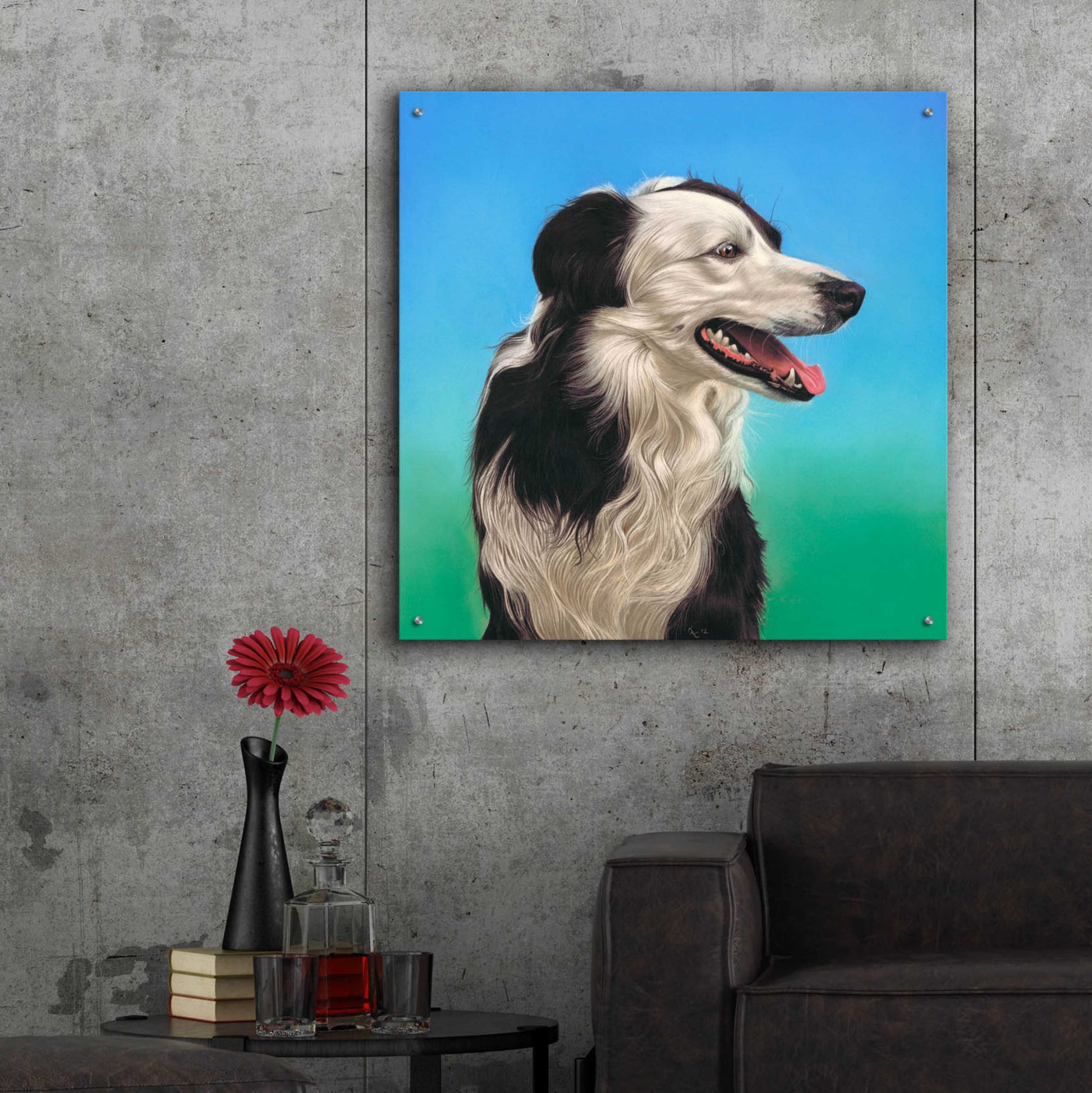 Epic Art 'Collie Jud' by Karie-Ann Cooper, Acrylic Glass Wall Art,36x36