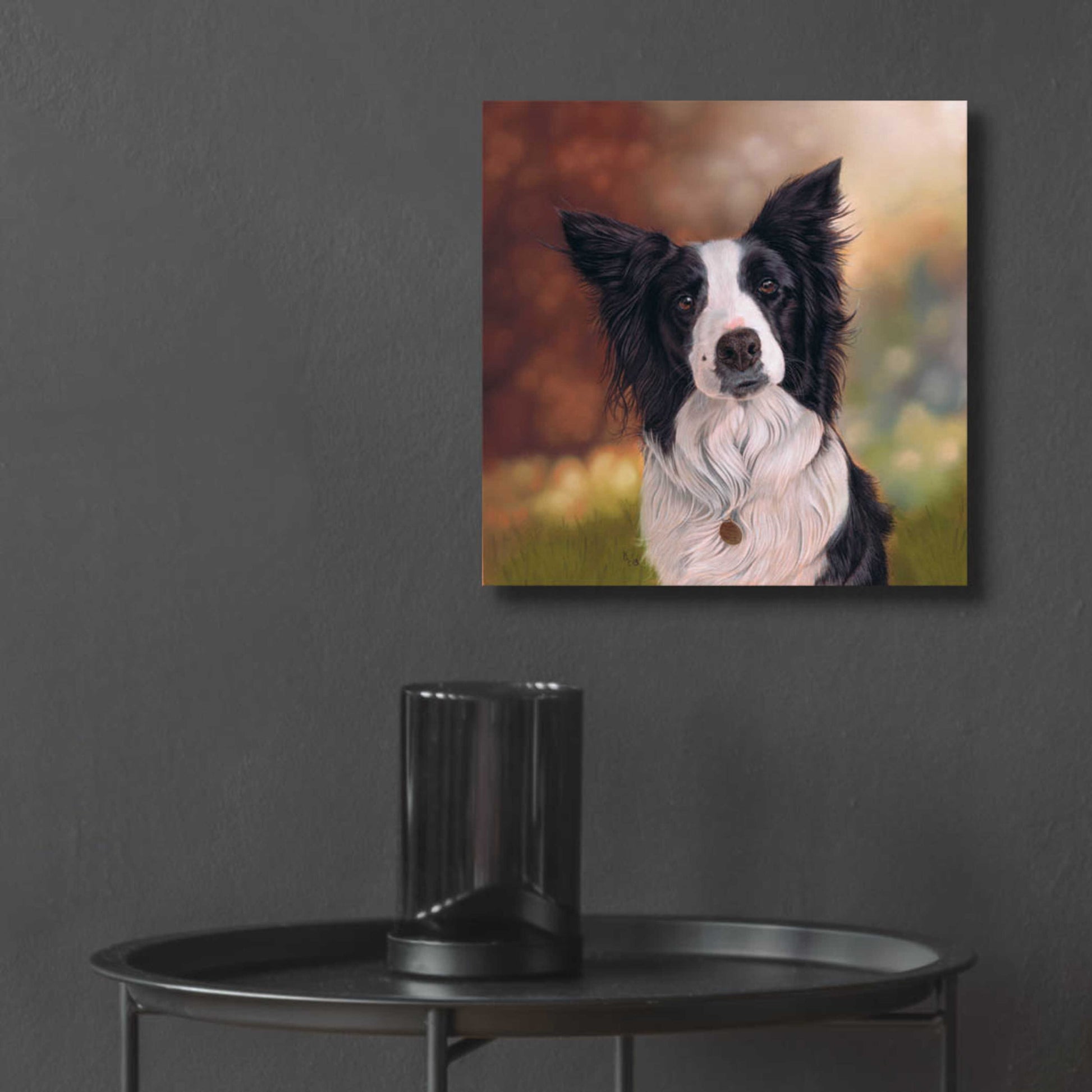 Epic Art 'Collie Perdy' by Karie-Ann Cooper, Acrylic Glass Wall Art,12x12