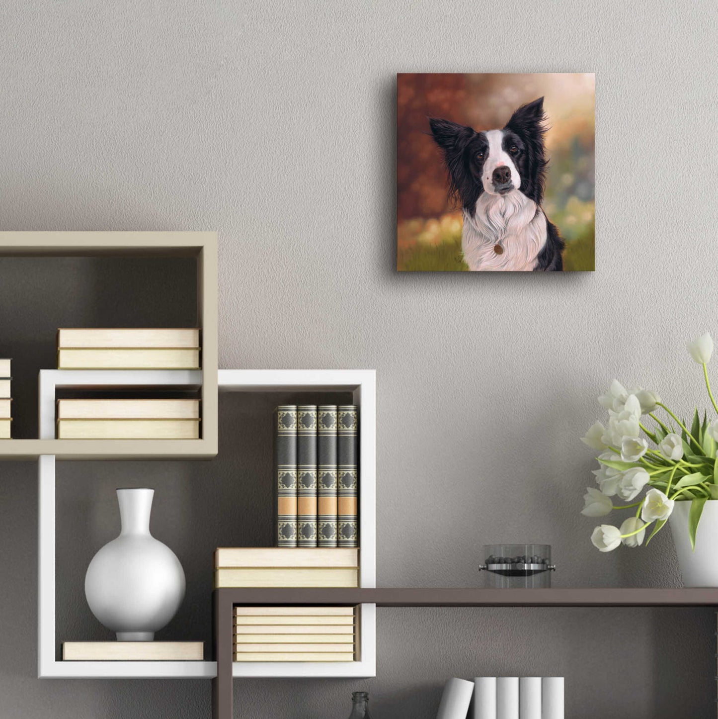 Epic Art 'Collie Perdy' by Karie-Ann Cooper, Acrylic Glass Wall Art,12x12