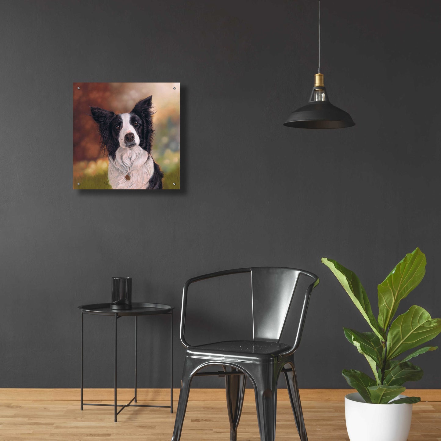 Epic Art 'Collie Perdy' by Karie-Ann Cooper, Acrylic Glass Wall Art,24x24